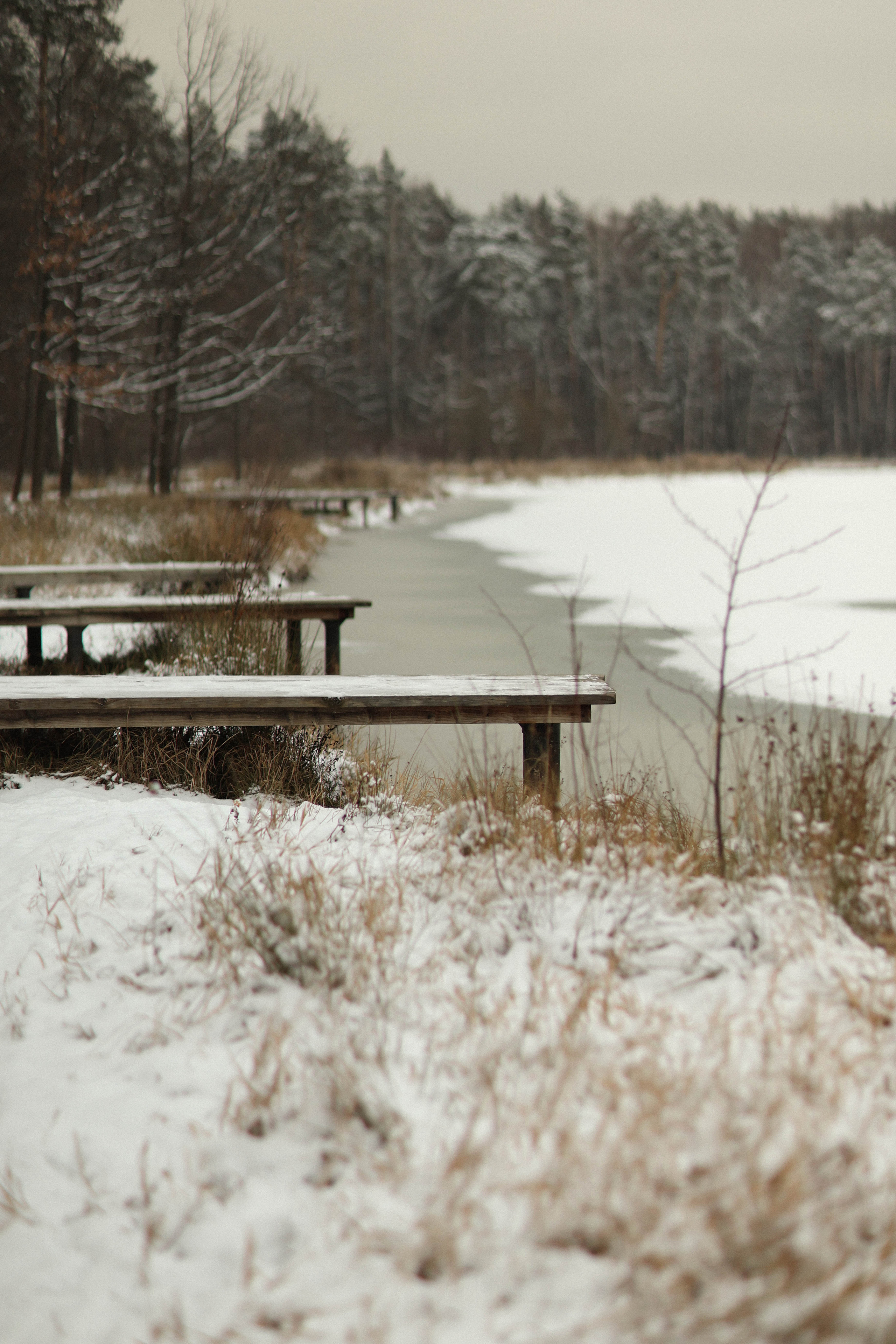 Маша и Василиса. Детский и семейный фотограф, съемка новорожденных Москва