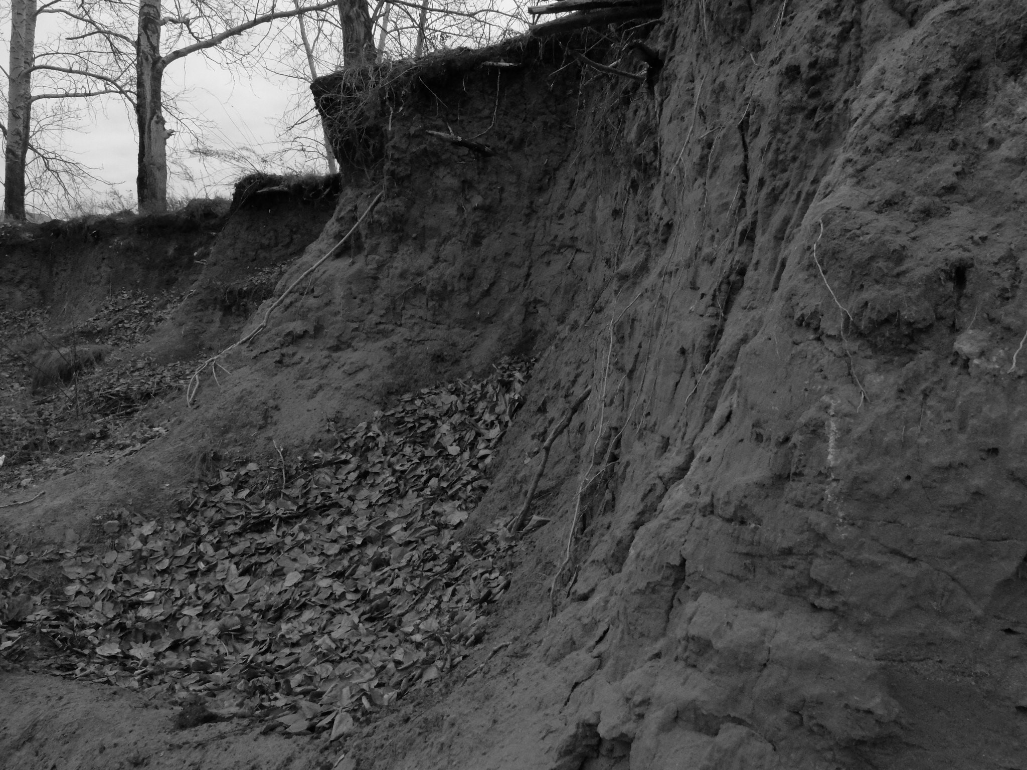 Внутривенные сны (2018-2023)