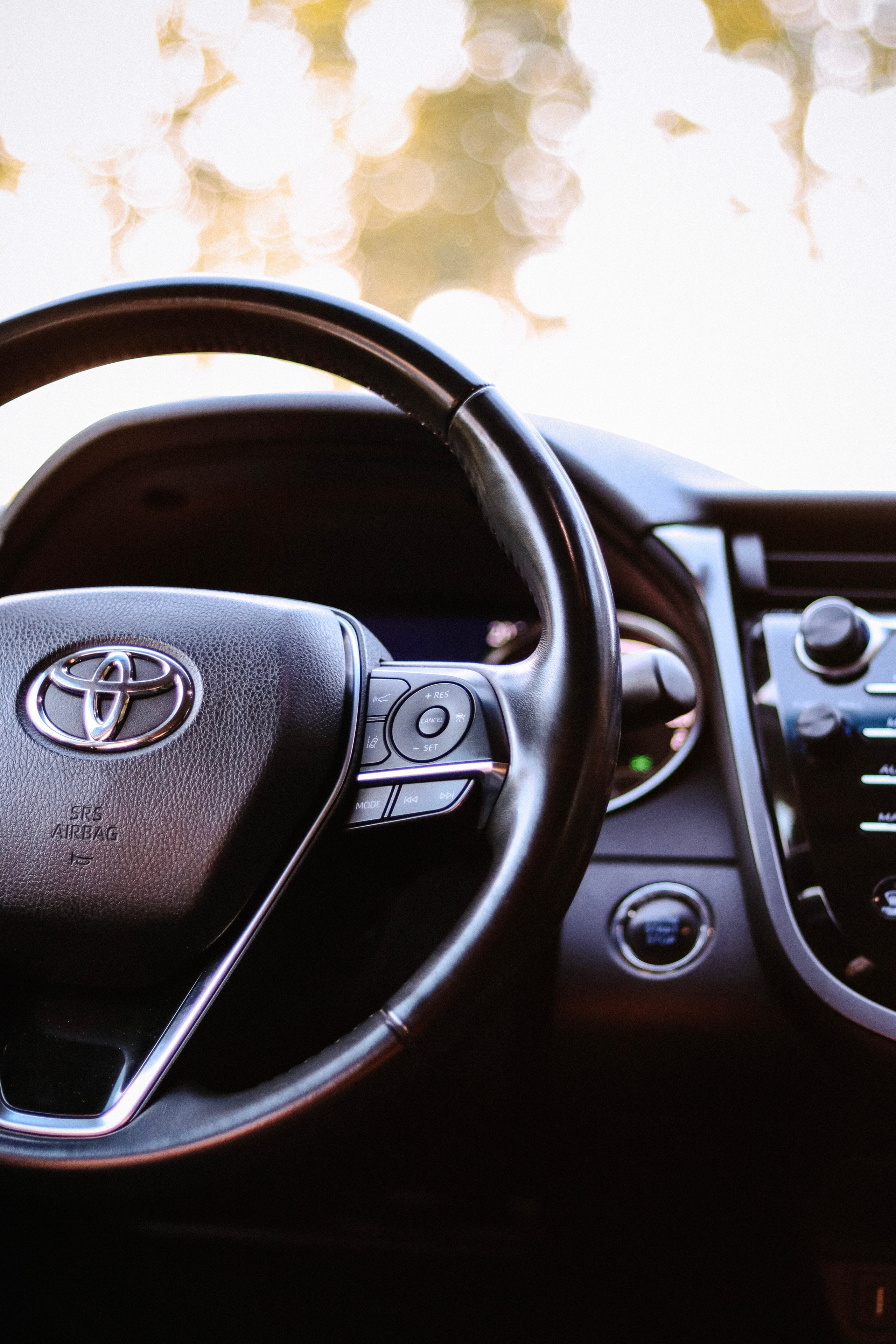 Toyota Camry. Фотограф София Омск