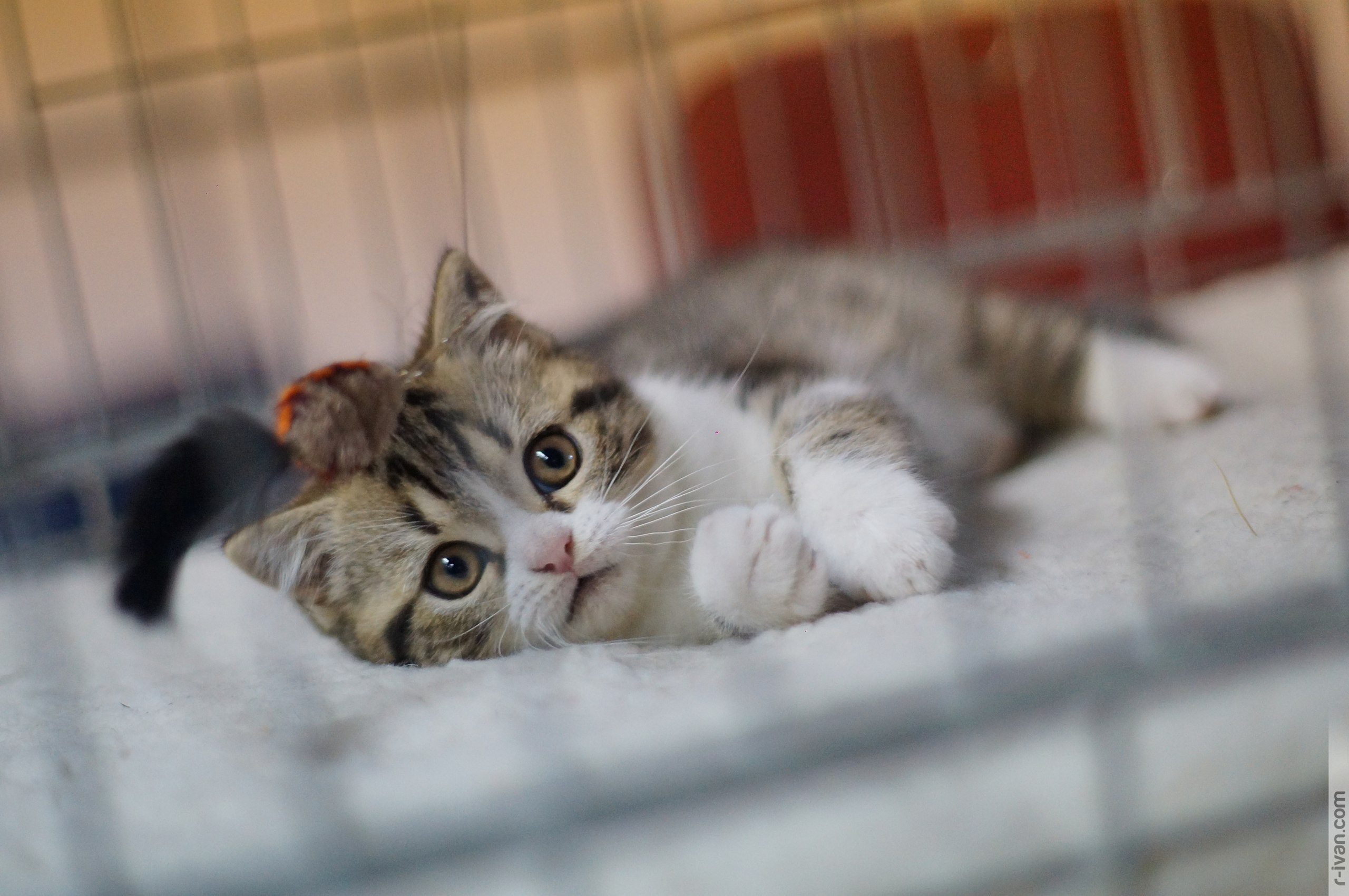 Фотоэнтузиаст Екатеринбург