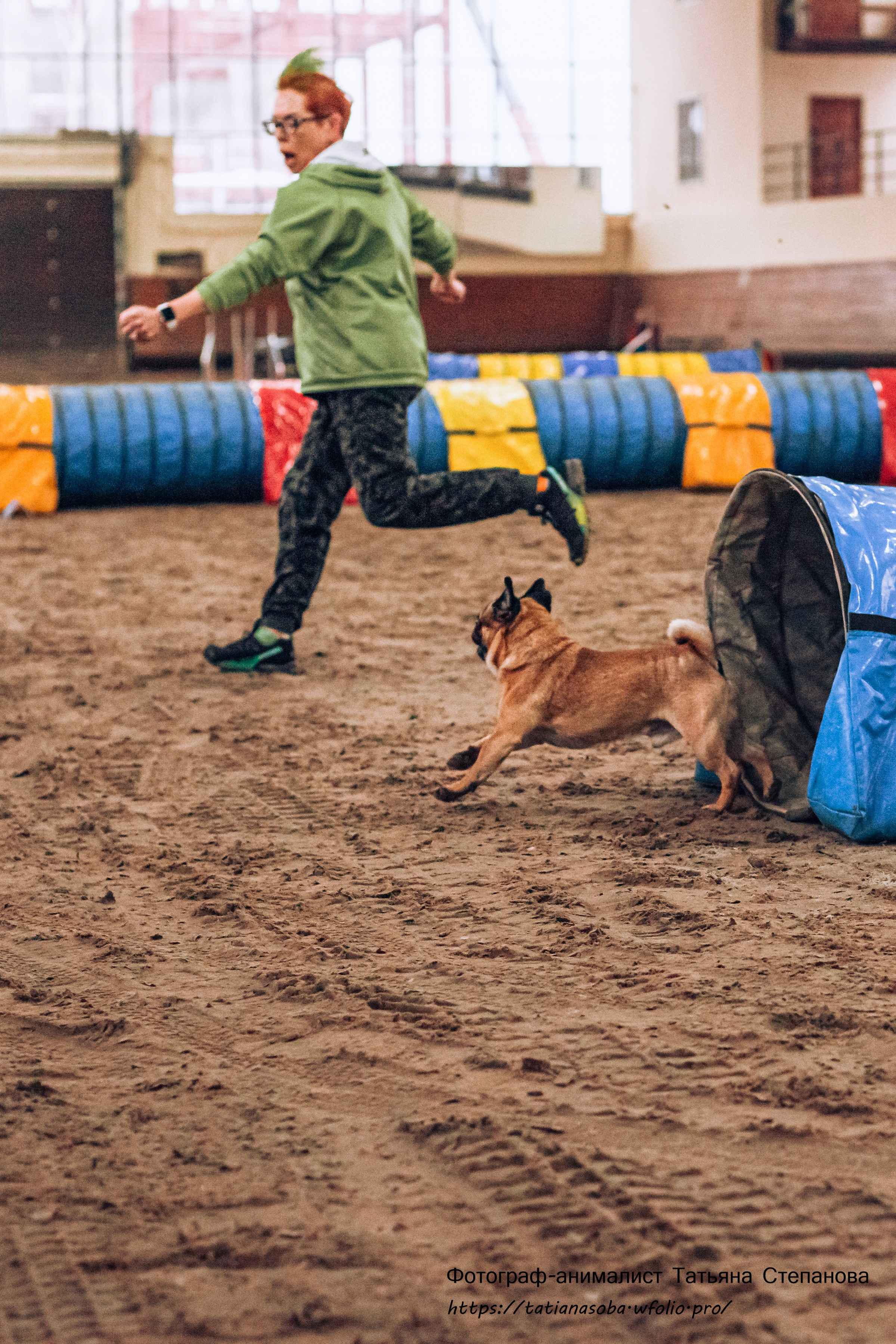 Соревнования по Аджилити 25.02.2024. Фотограф-анималист Татьяна Степанова
