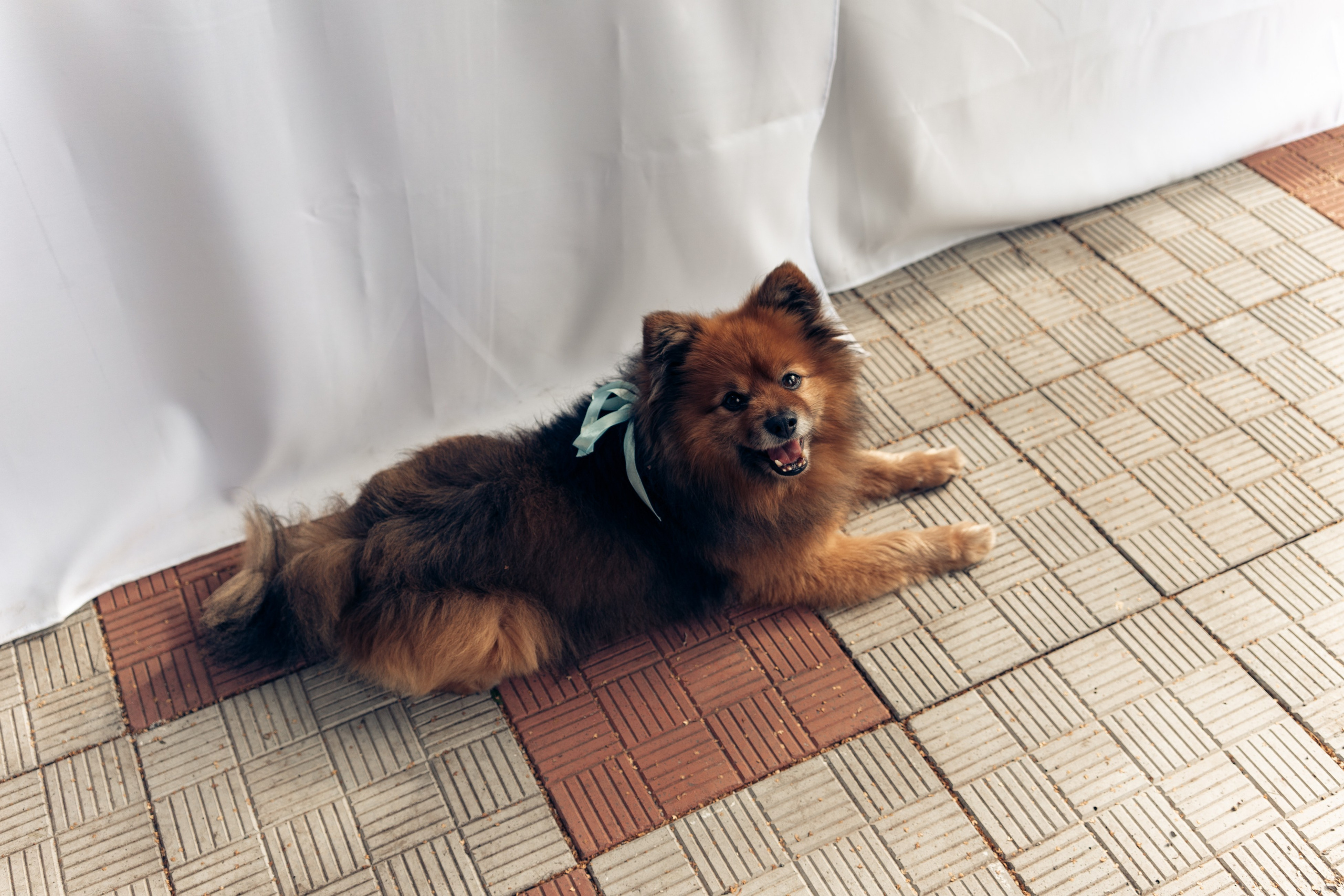 Яна и Артём (семейное торжество). Эстетичная фото- и видеосъёмка Ирина Арсентьева. Челябинск и весь мир