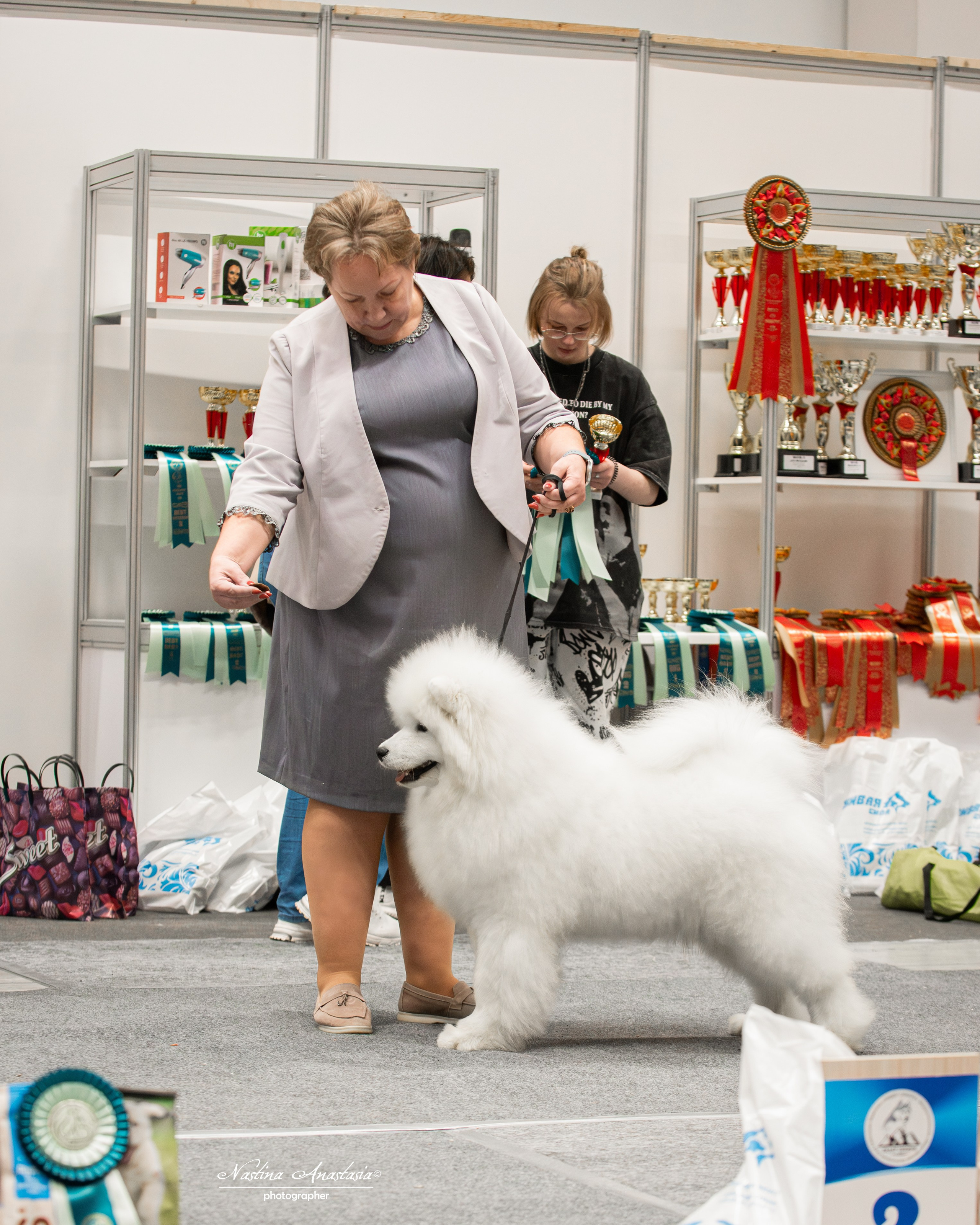 Выставки. Фотограф — Анималист