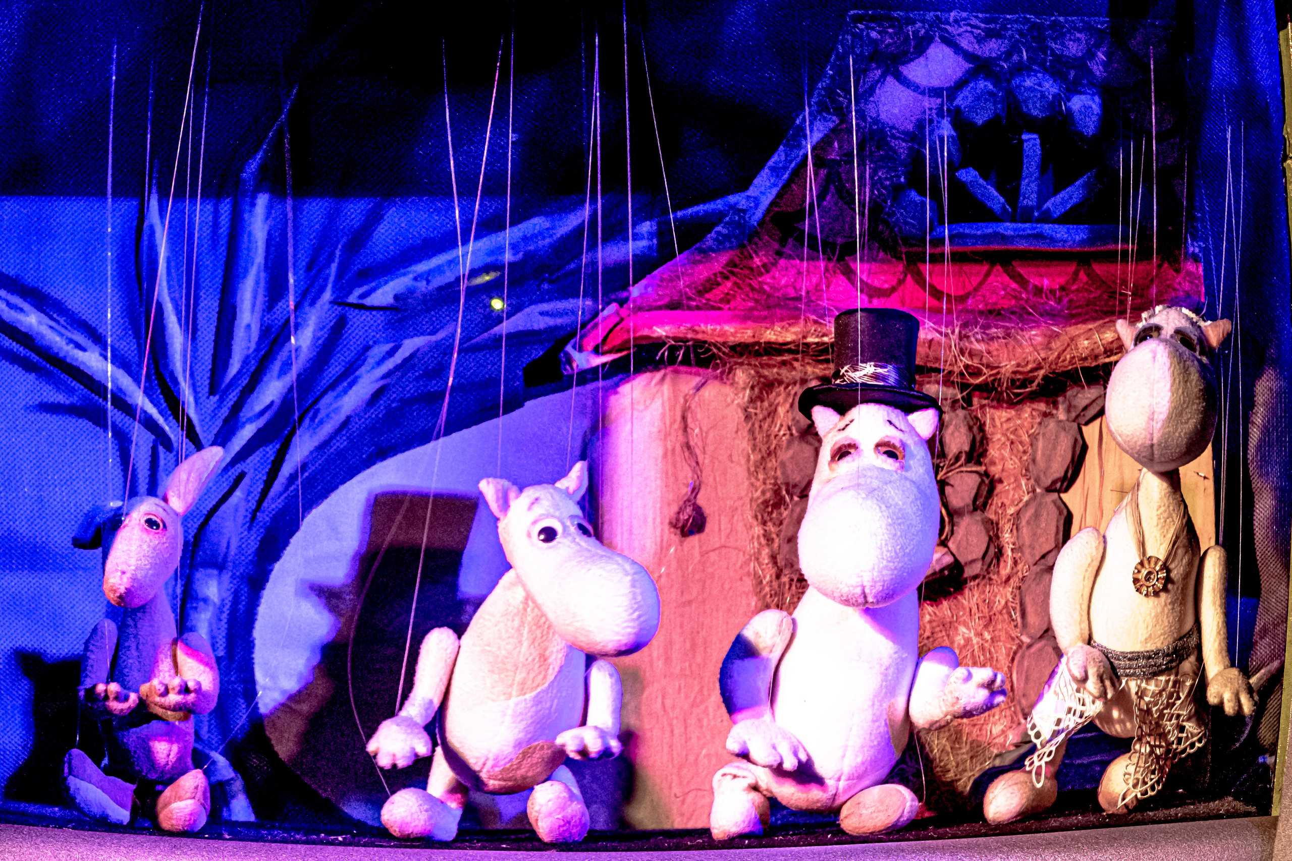 «Муми тролли и большое наводнение». Фотограф в Сочи Юрий Шептаев