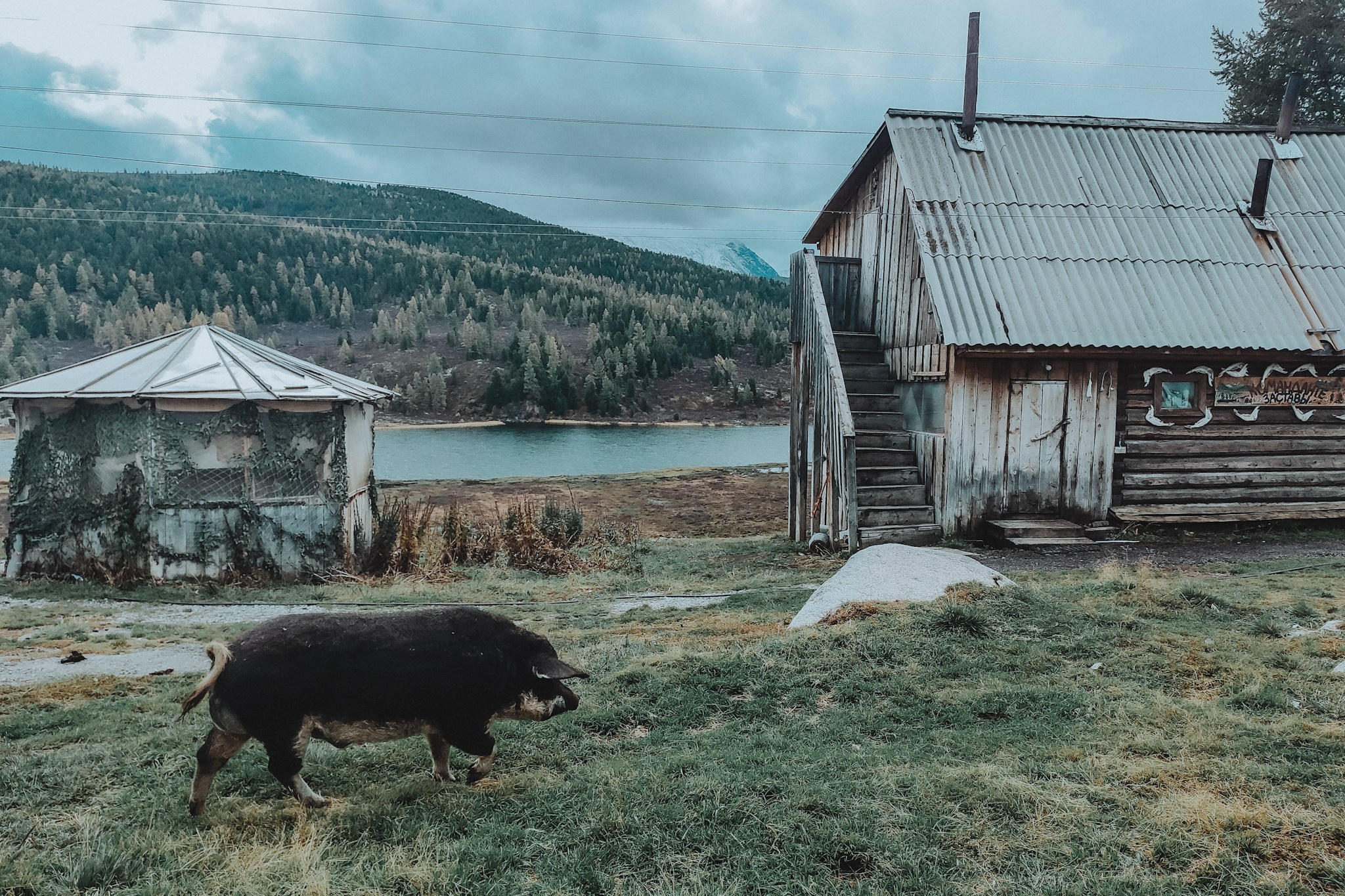 Алтай (мобилография). Фотограф в Москве, в Самаре Инна Мамонова
