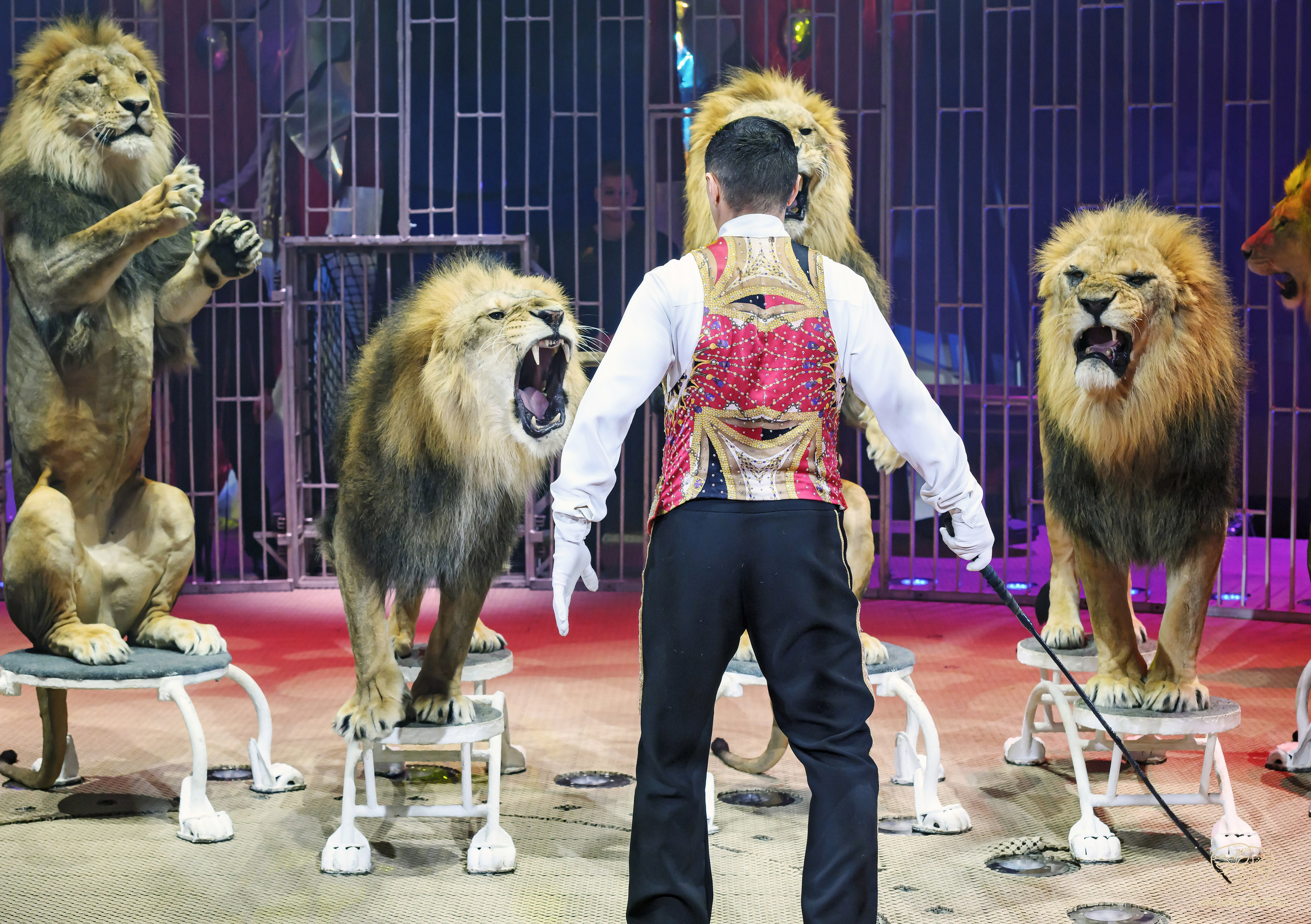 Фотограф Андрей Пухов (Jazz)