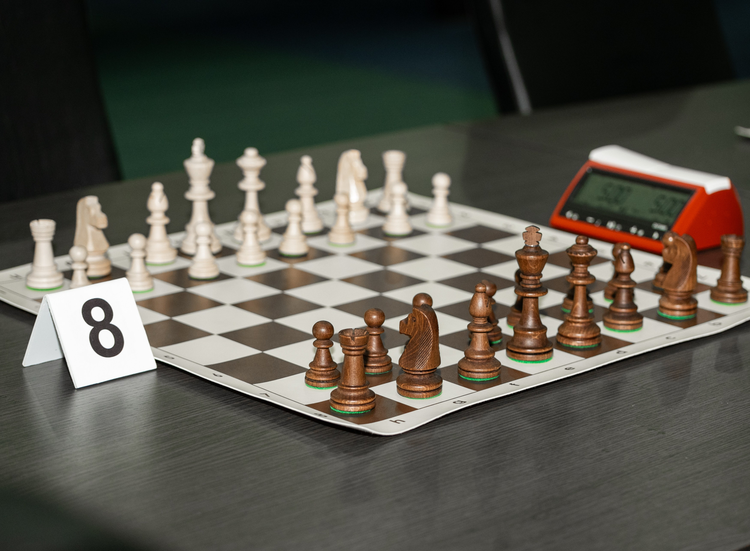 Международный фестиваль адаптивных видов спорта. Свадебный и семейный фотограф София Невская