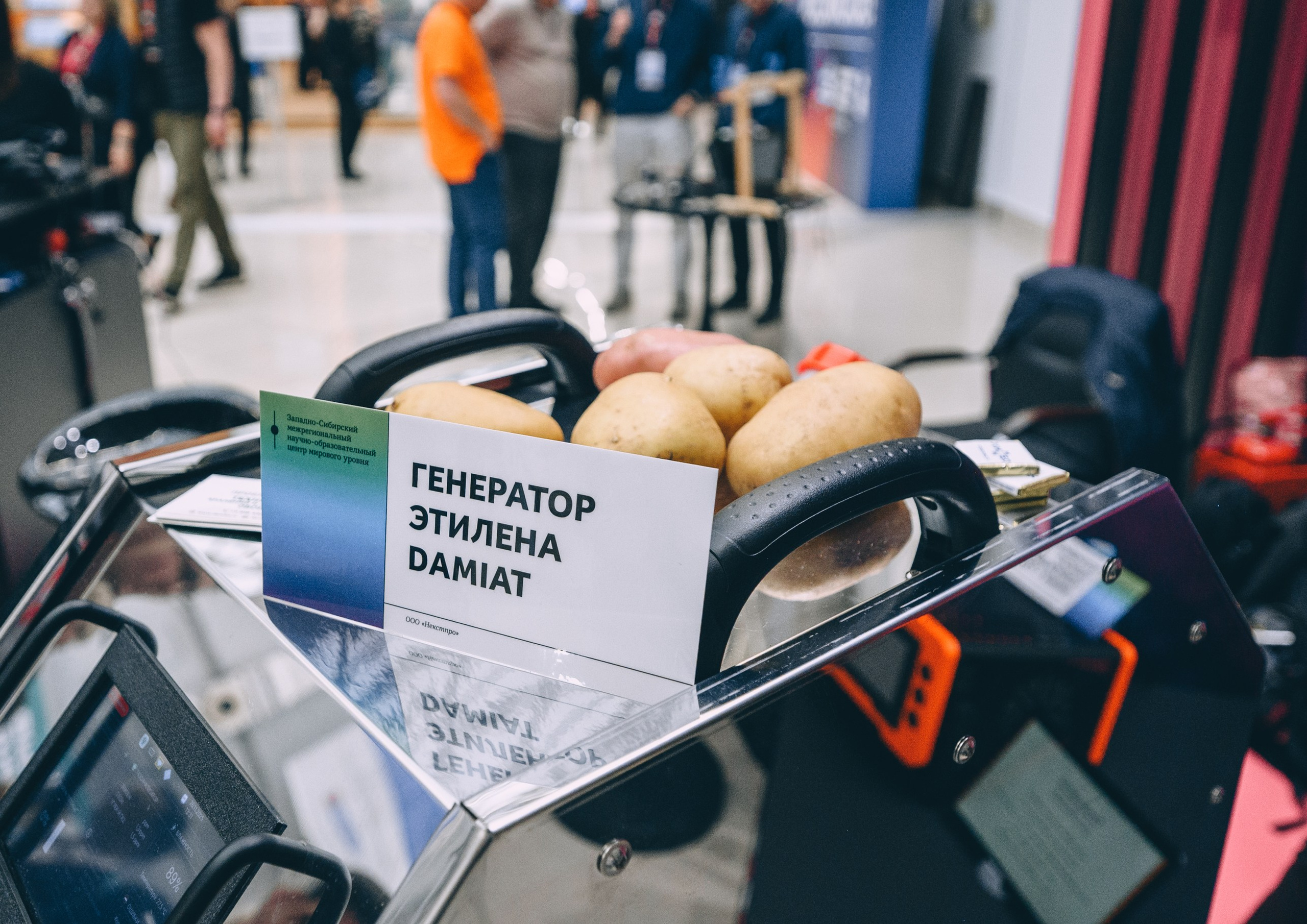 V Конгресс молодых ученых 2025. Свадебный и семейный фотограф София Невская