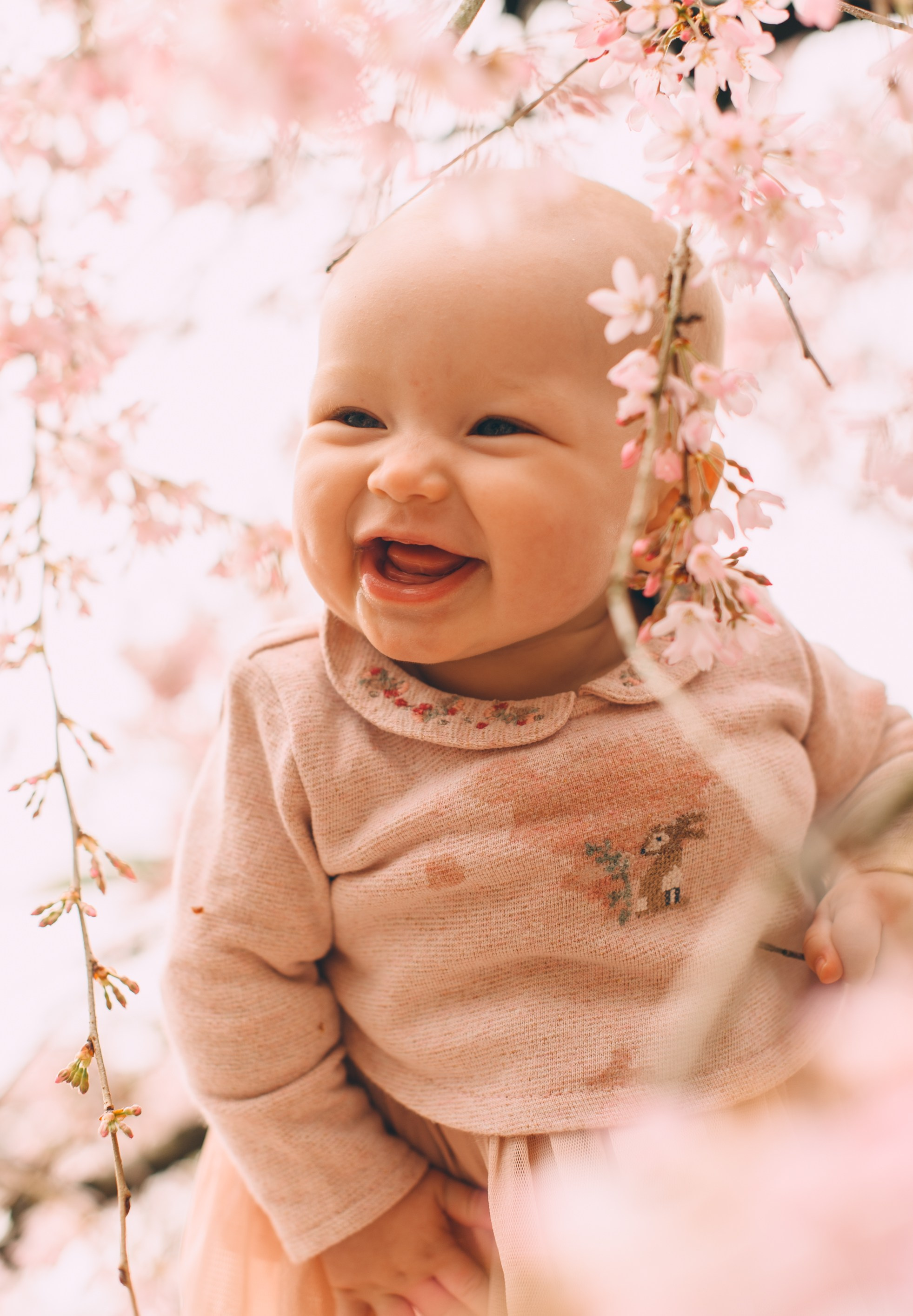 Цветение в Южных Культурах. Свадебный и семейный фотограф София Невская