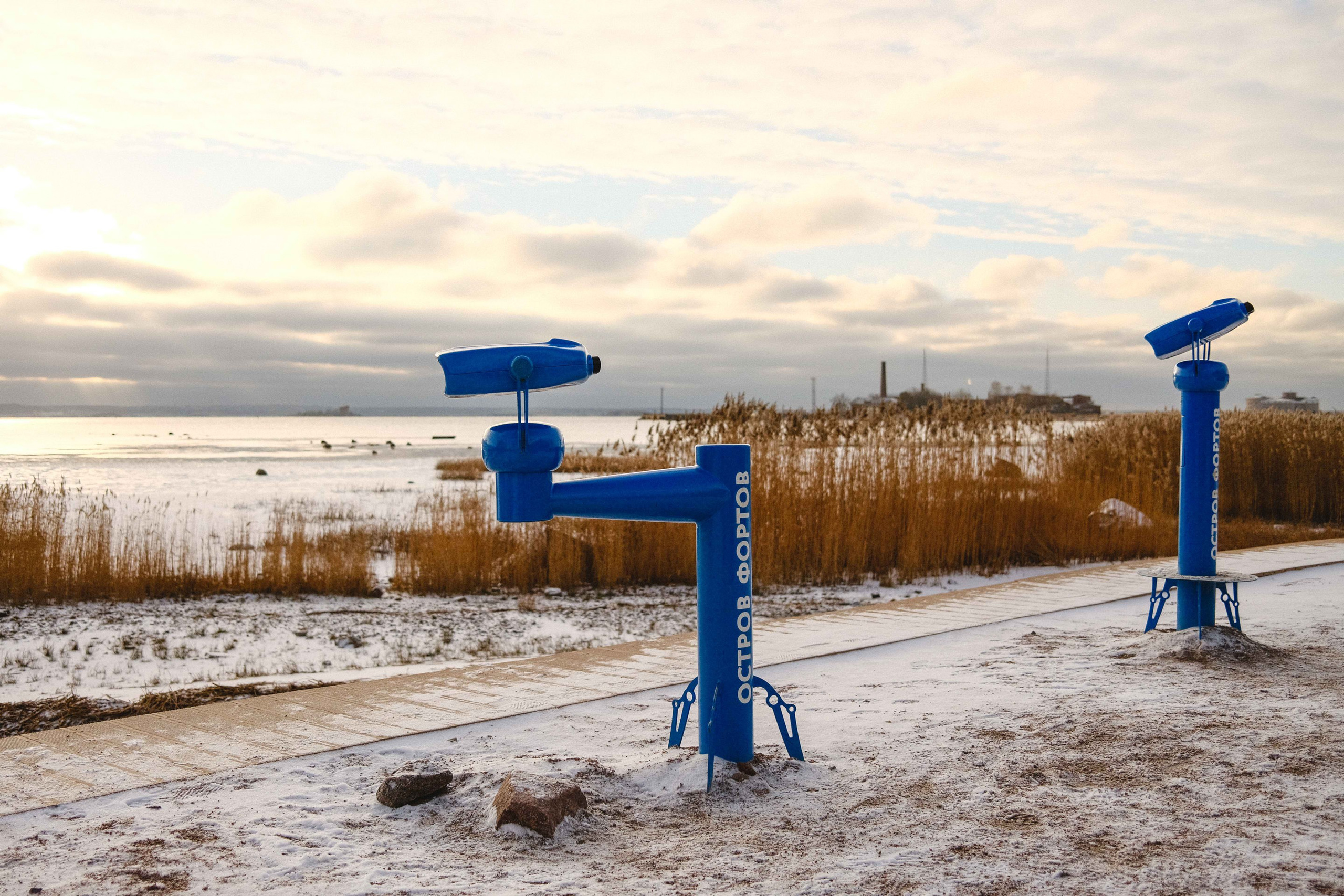 2022.11. Фотограф Алексей Алексеев