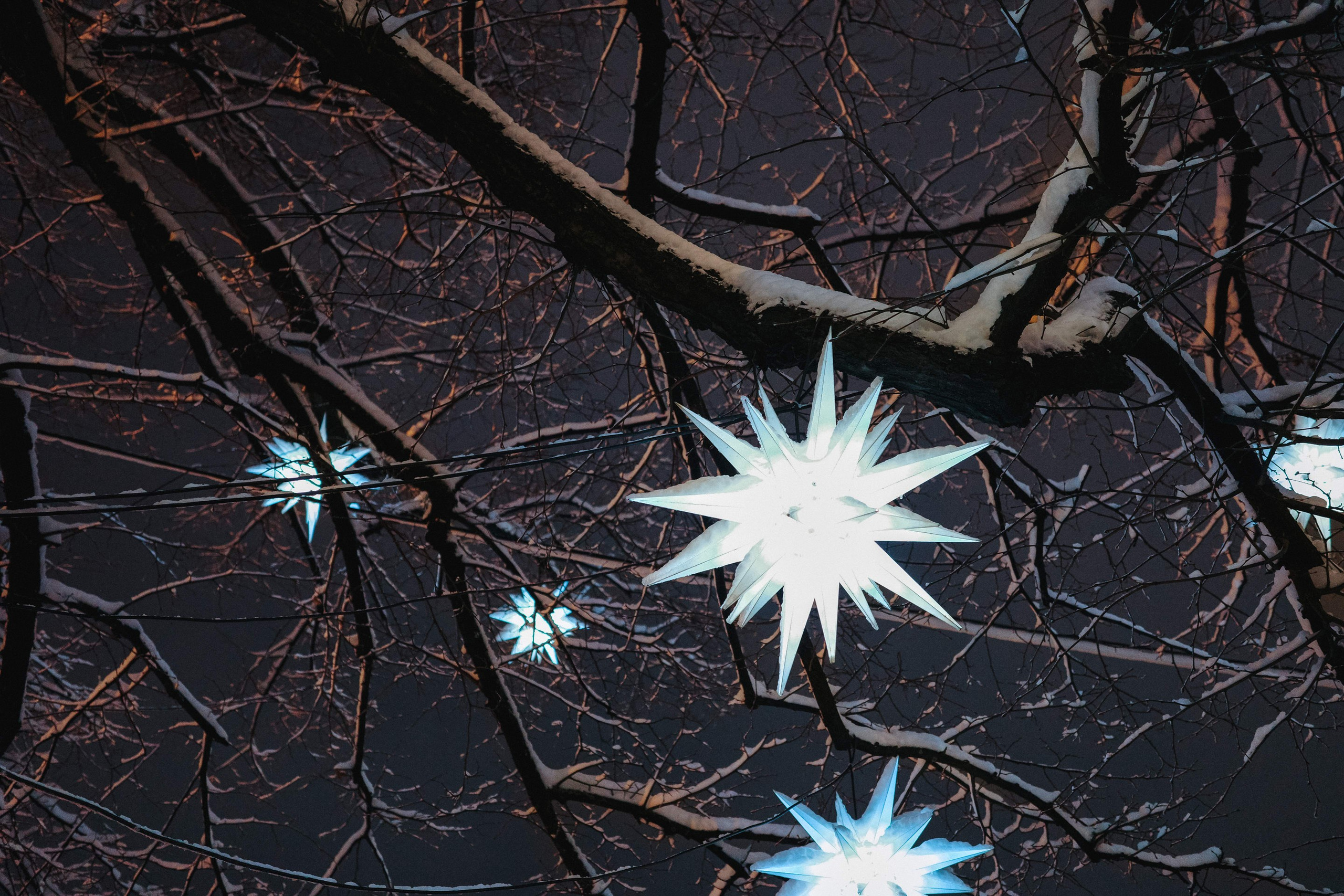 2024.12. Фотограф Алексей Алексеев