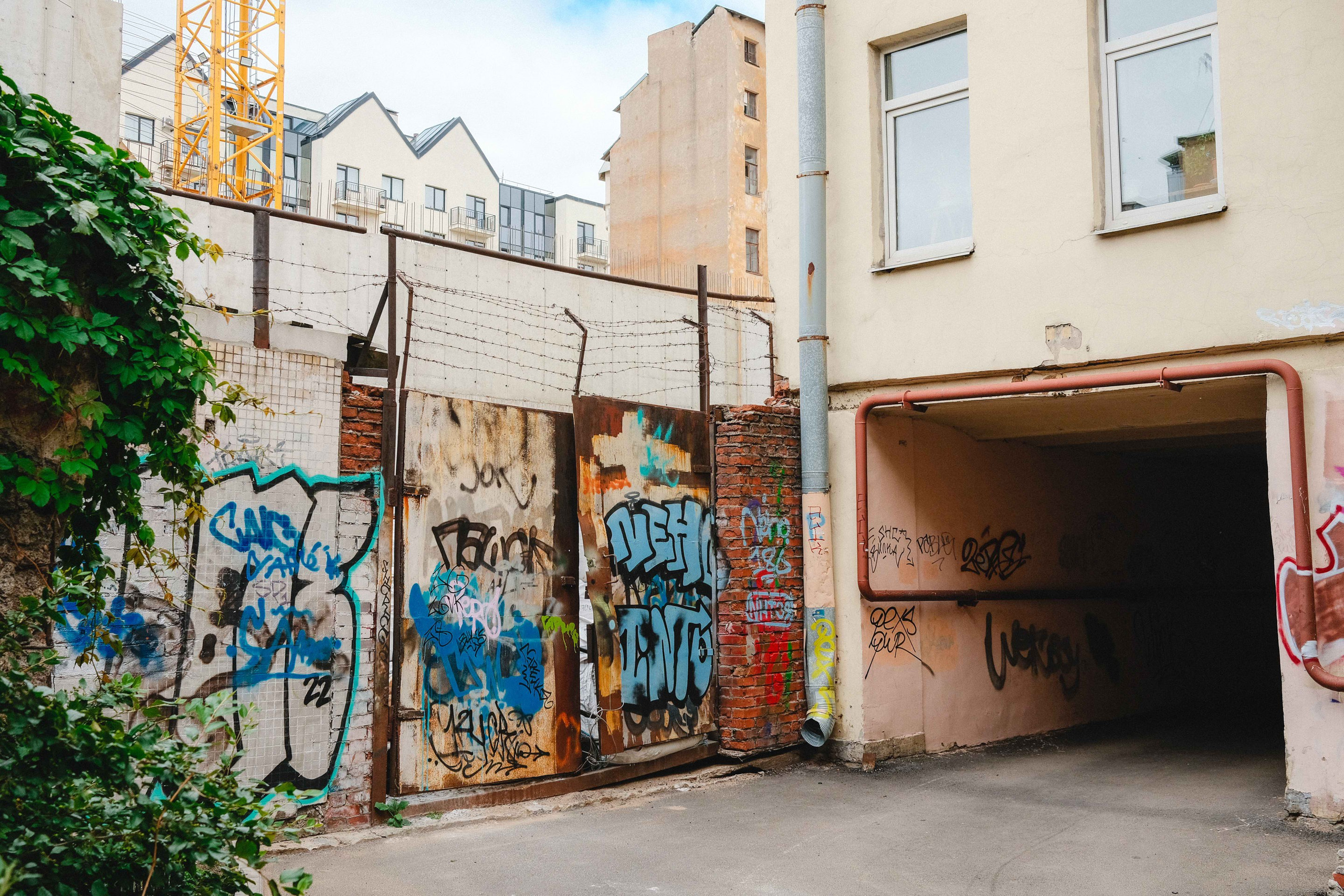 2023.07. Фотограф Алексей Алексеев