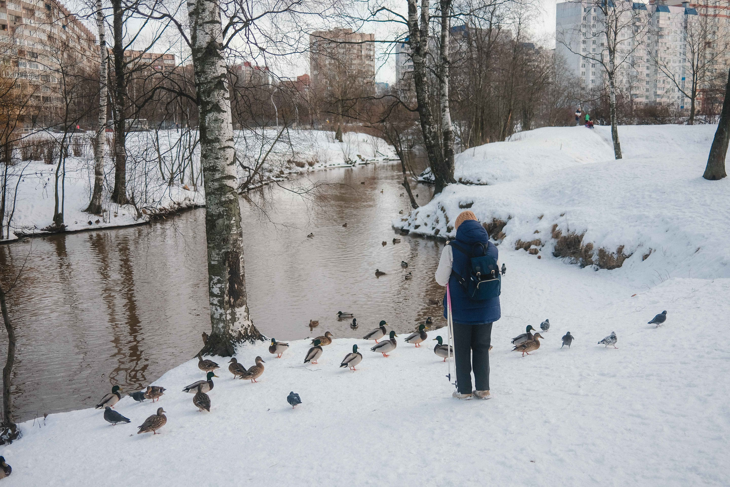 2023.03. Фотограф Алексей Алексеев