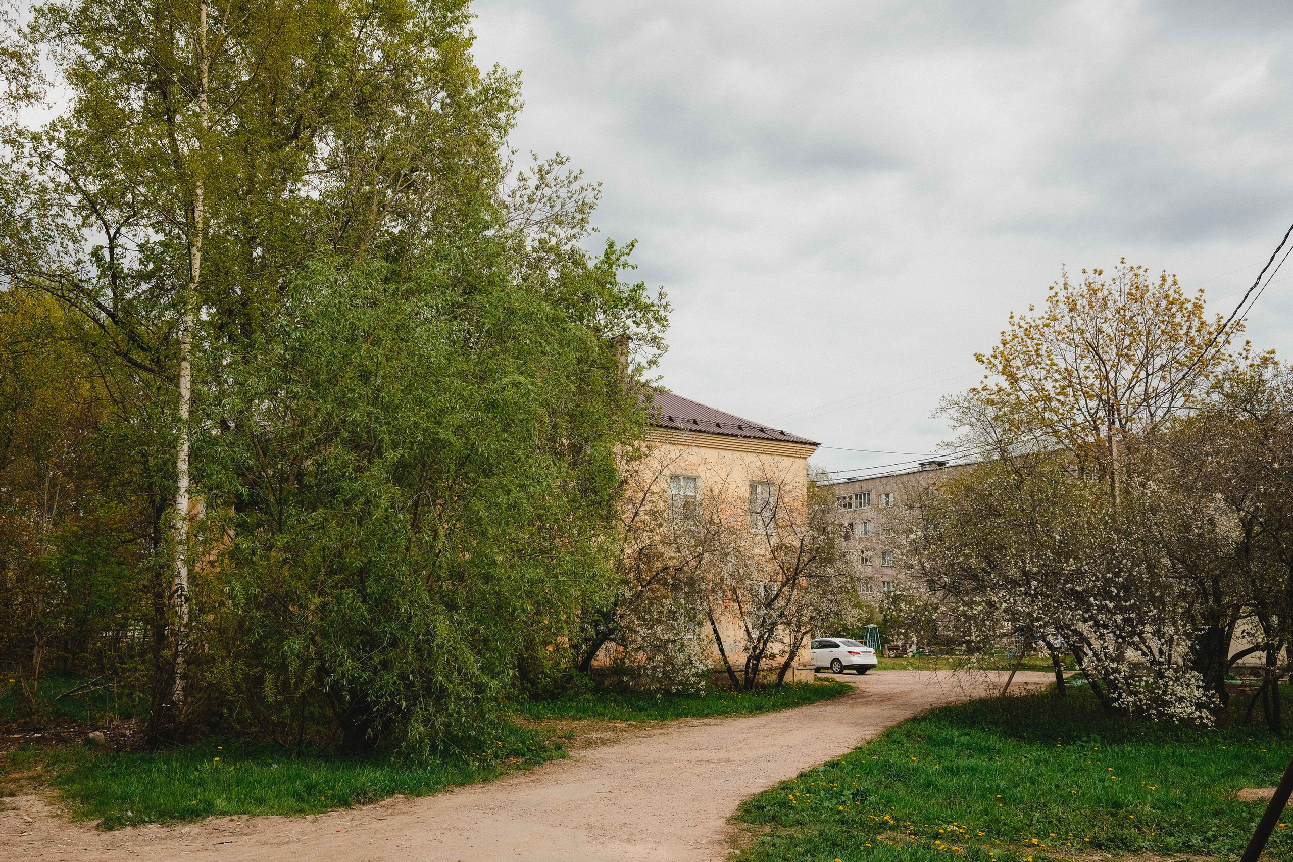 2023.05. Фотограф Алексей Алексеев
