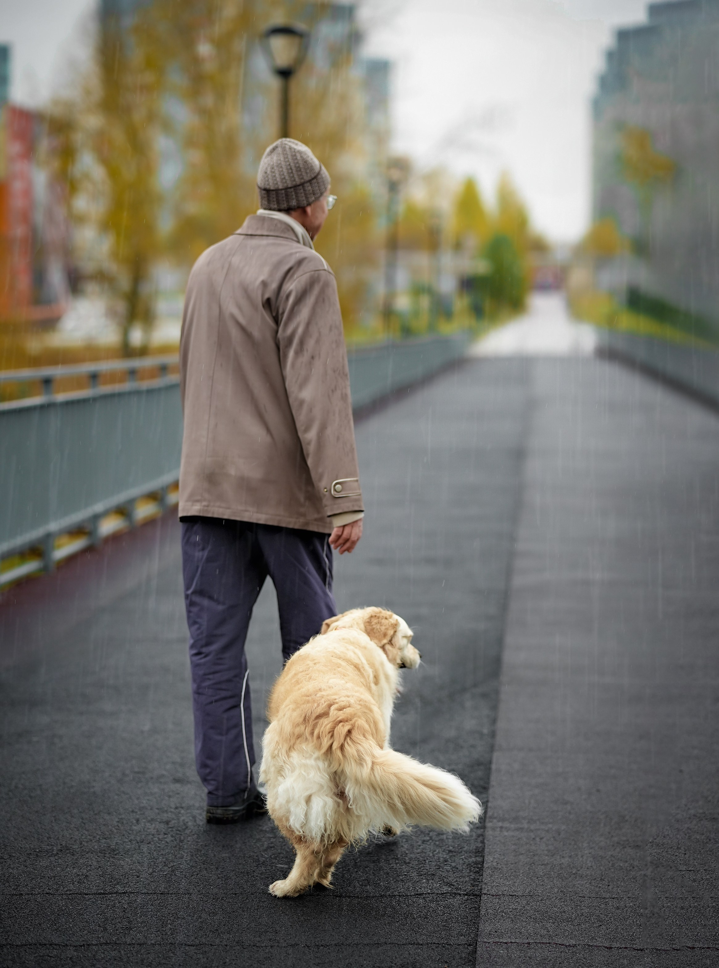 ПЕС. Фотограф Нижний Новгород Татьяна Кэйод