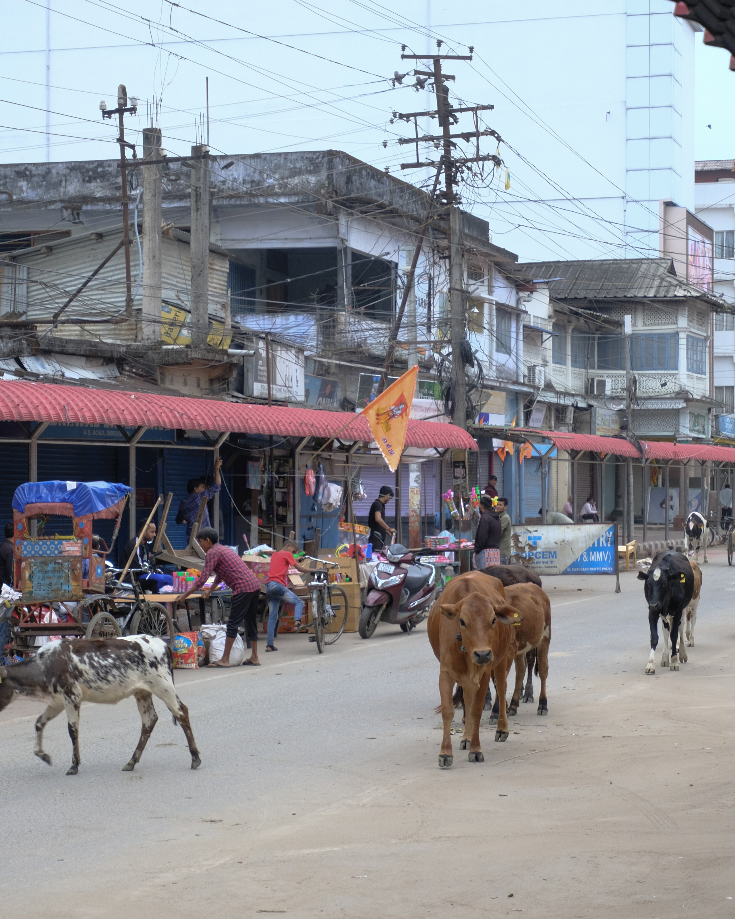 Праздник Холи. Фотографии из путешествий