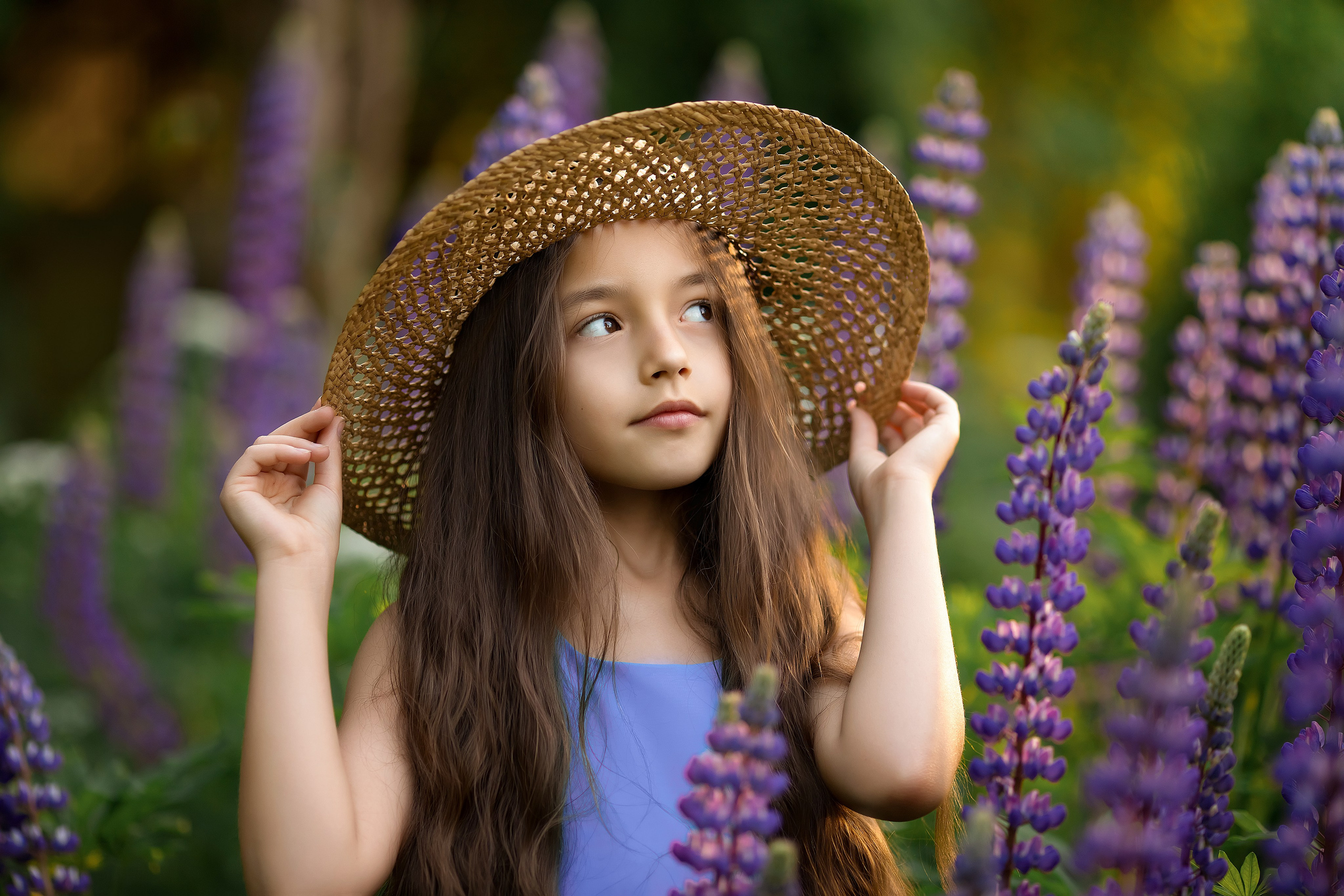 Лето. Главная