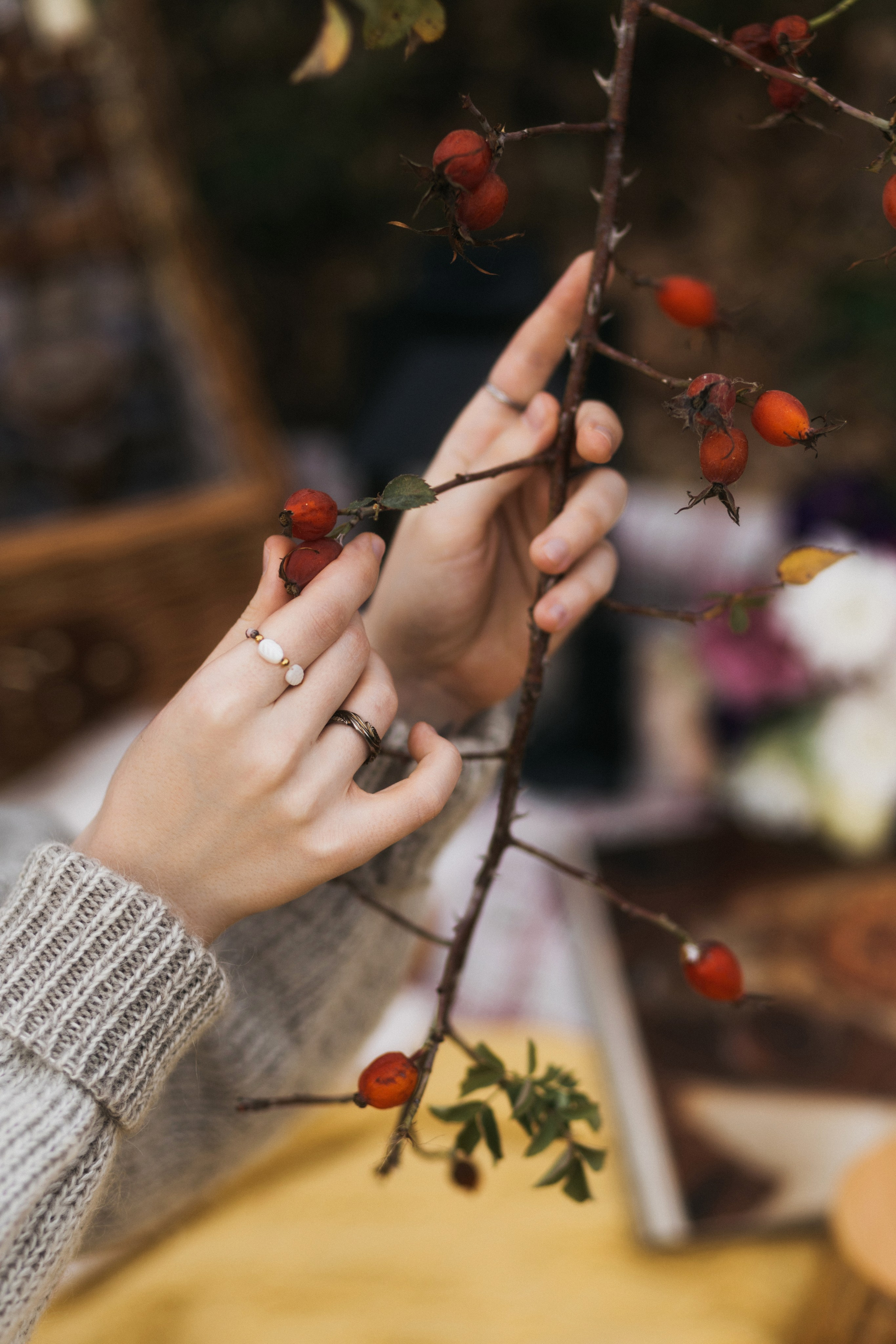 Осенний пикник. Женский и семейный фотограф в Туле Катя Вуколова