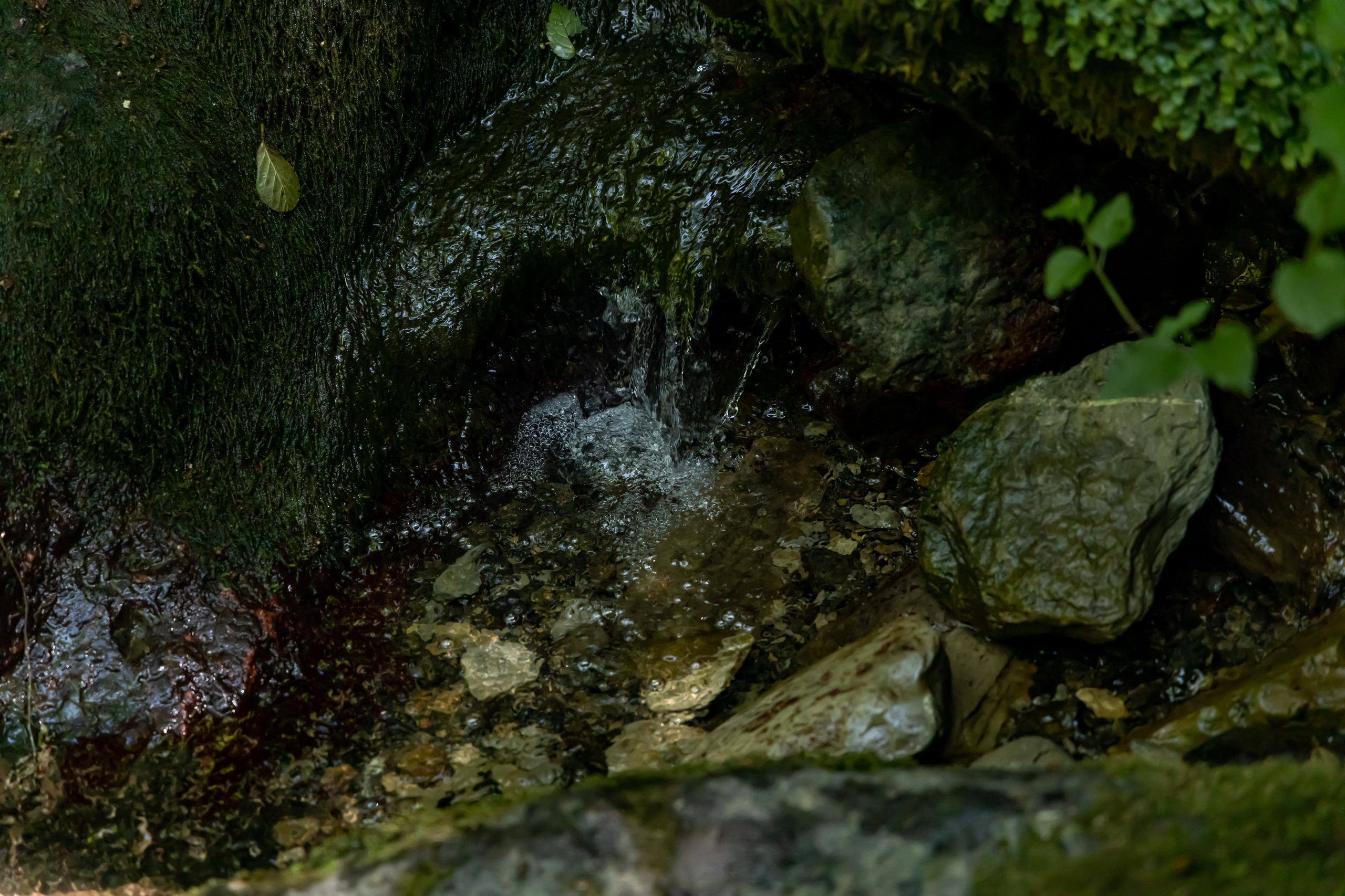 Сочи. Солох Аул. Репортажный, семейный и студийный фотограф в Москве Демин Алексей