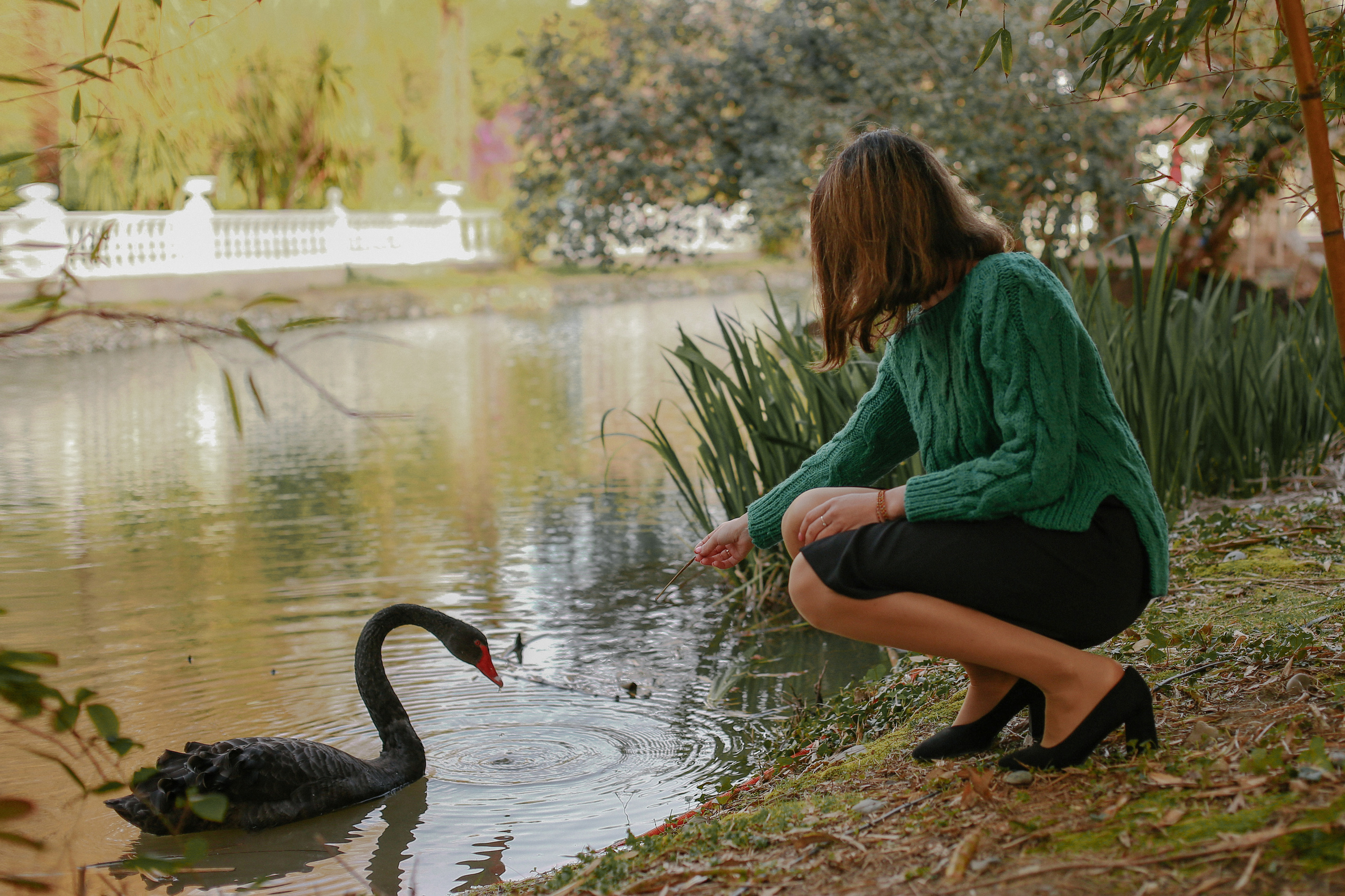 ЦВЕТЕНИЕ. Милана Довгаль - семейный фотограф и видеограф  в Адлере и Сочи