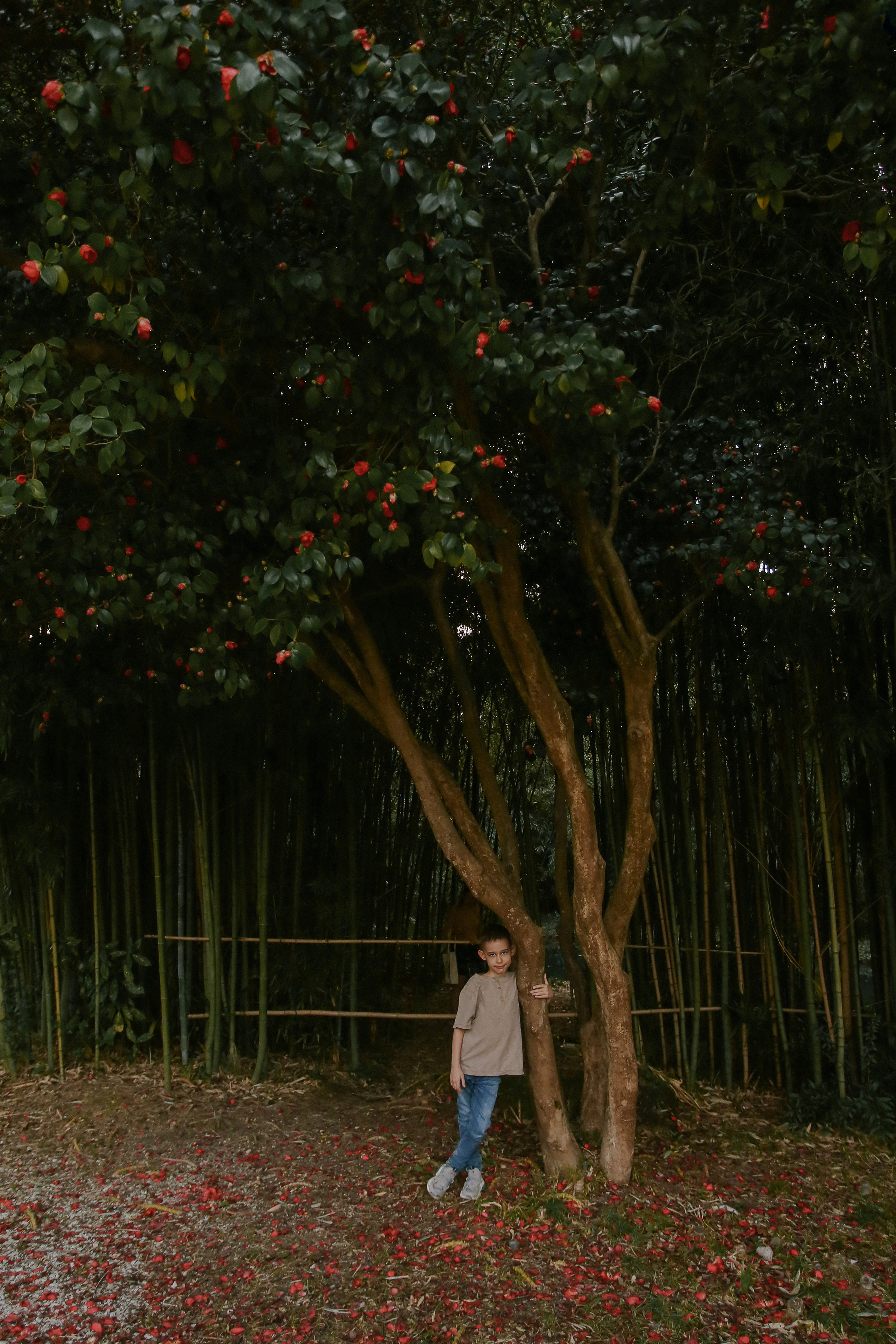 Юлия. Милана Довгаль - семейный фотограф и видеограф  в Адлере и Сочи