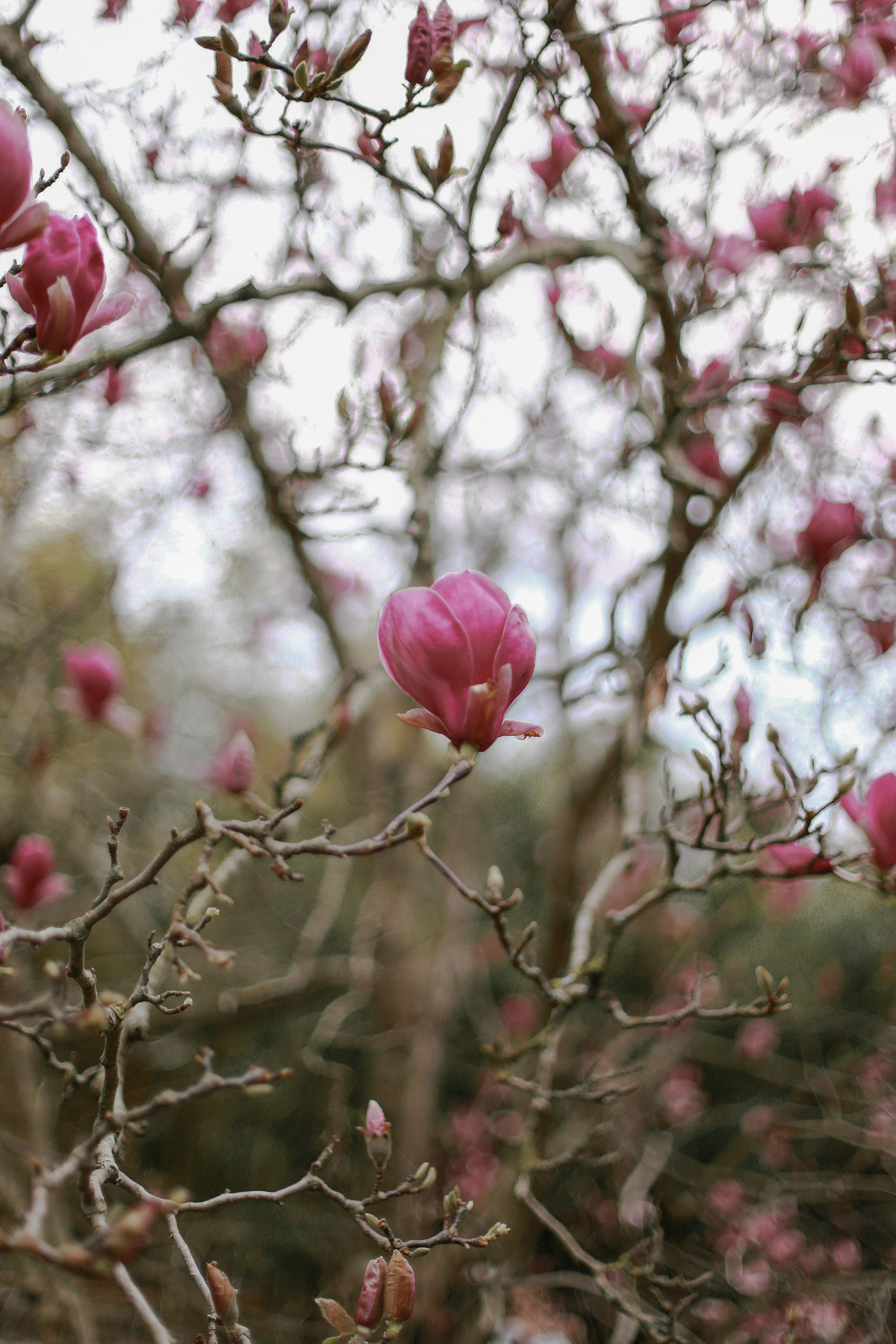 Юлия. Милана Довгаль - семейный фотограф и видеограф  в Адлере и Сочи