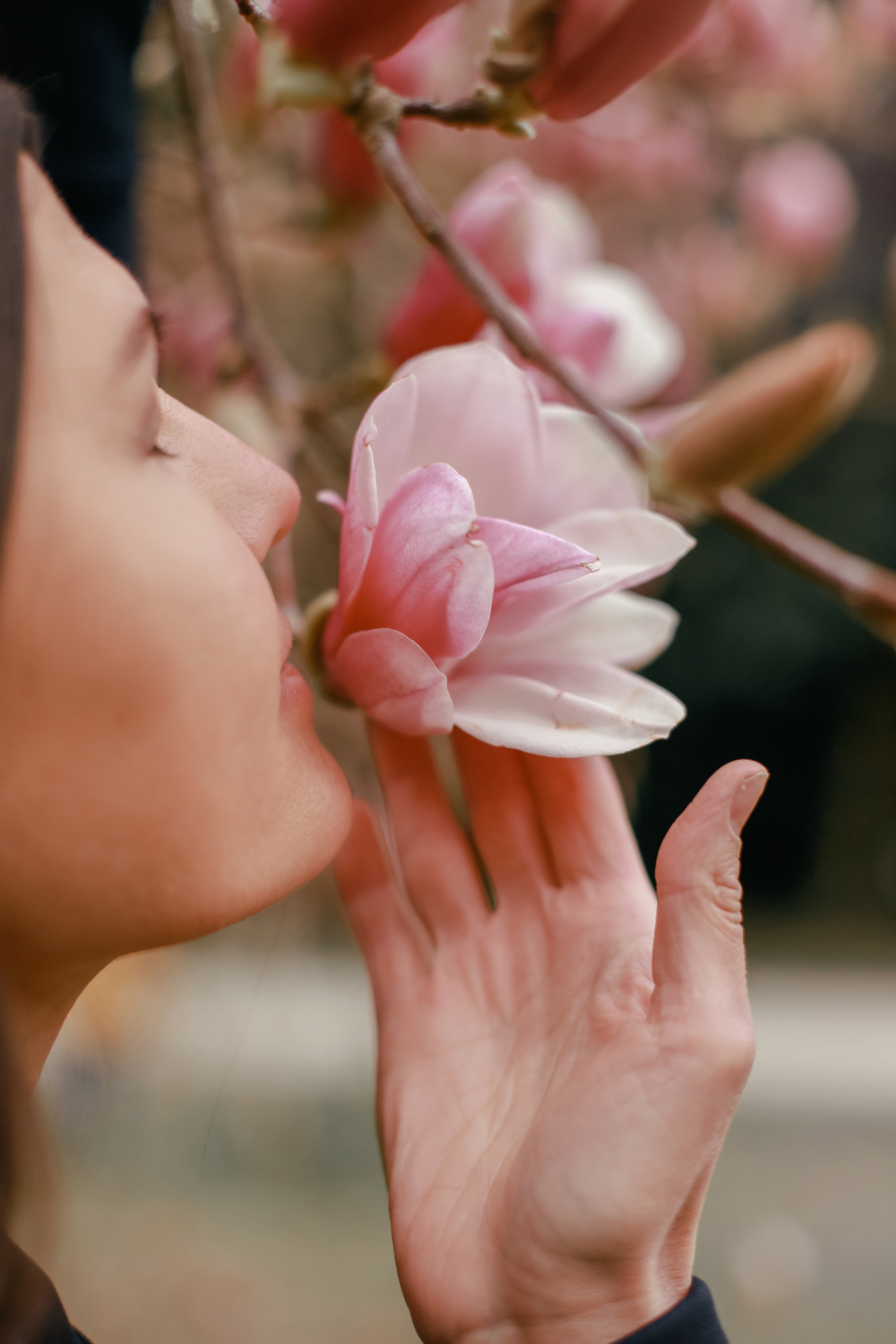 ЦВЕТЕНИЕ. Милана Довгаль - семейный фотограф и видеограф  в Адлере и Сочи