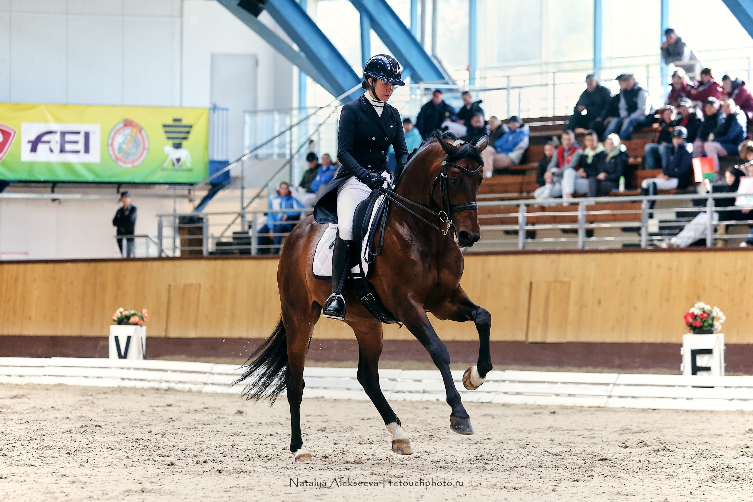 Звезды Евразии по выездке, Минск | 10'2023. Репортажный фотограф и ретушер в Москве Наталья Алексеева
