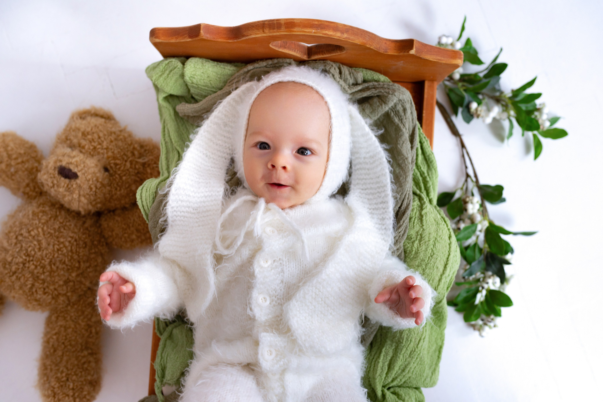 Лев (3 месяца)