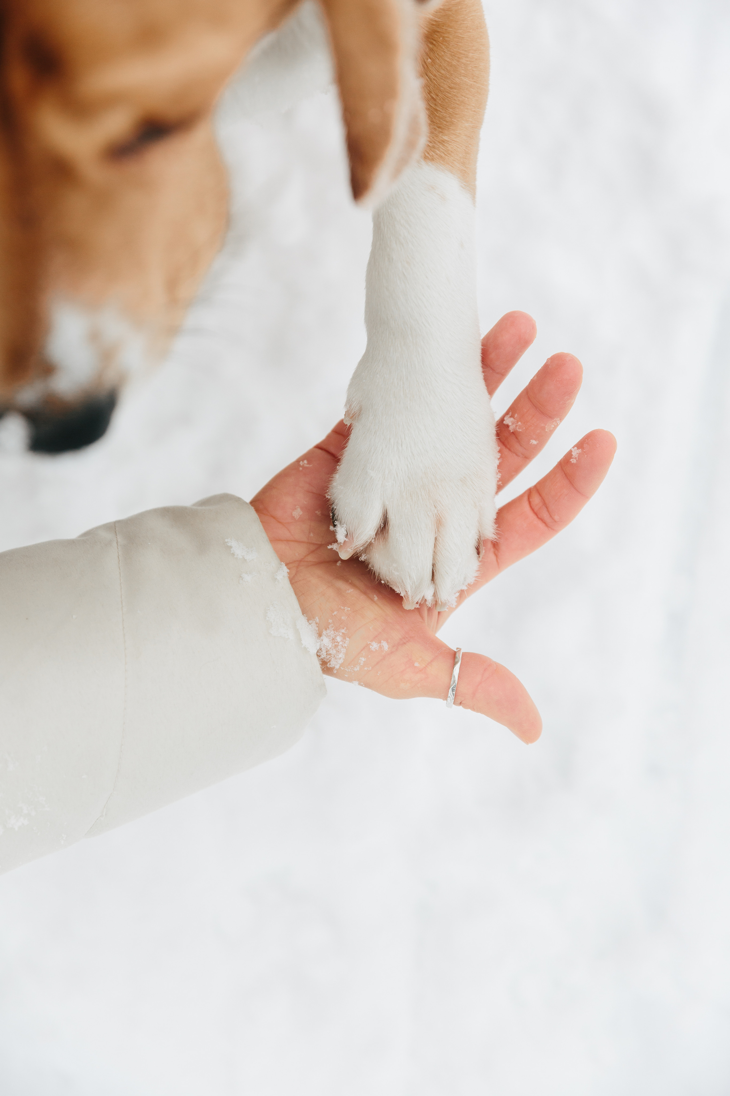 Ника. Семейный и детский фотограф в Москве Юлия Выганова Julia Joy