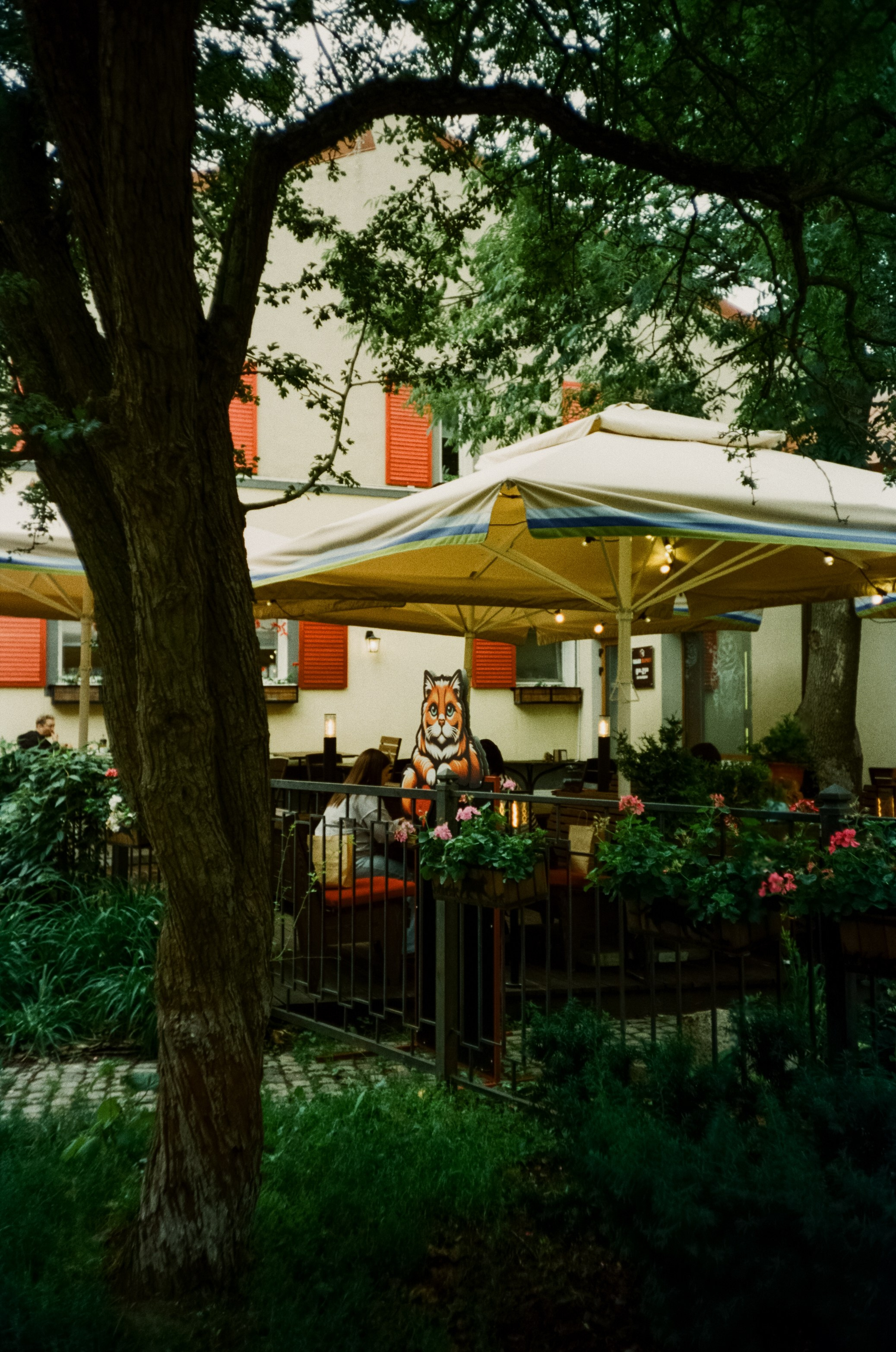 Курортный проспект и коты Зеленоградска, маяк и Safe Coffee. Фотограф-документалист Мария Осокина