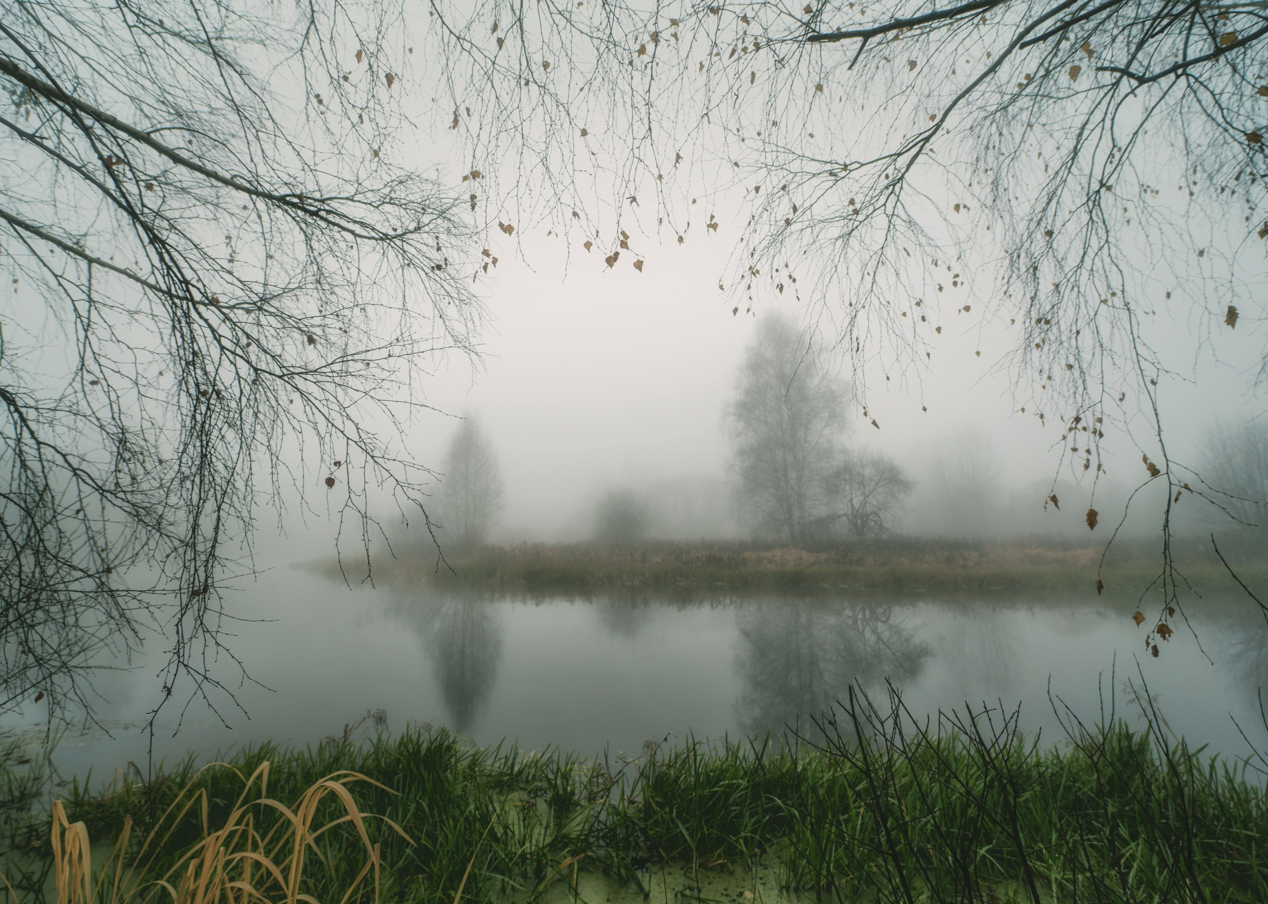 Пейзаж. Константин Дем | Фотограф