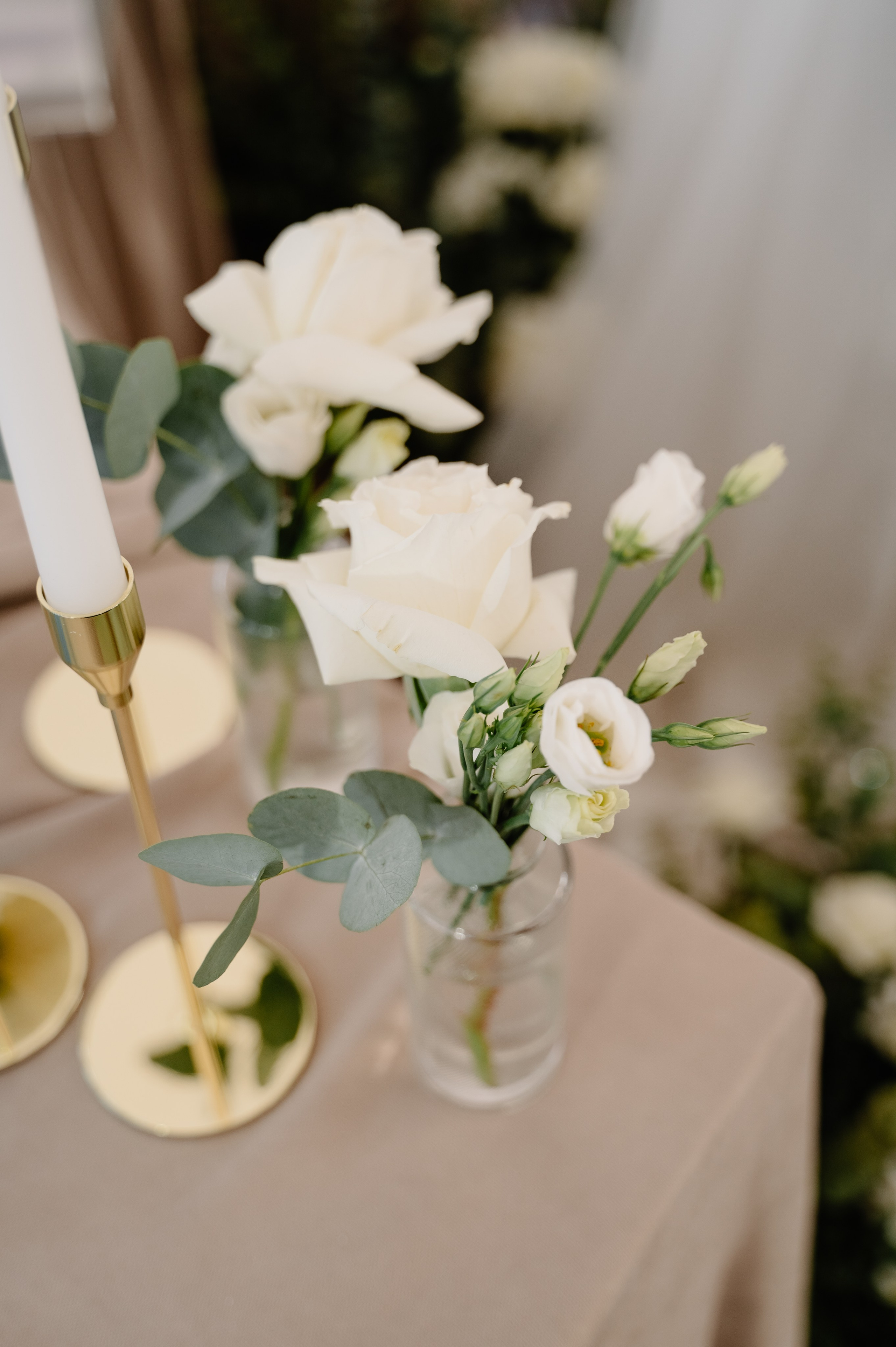 Женя|Аня. Свадебный и портретный фотограф Анастасия Тетёркина, Брянск и Санкт-Петербург