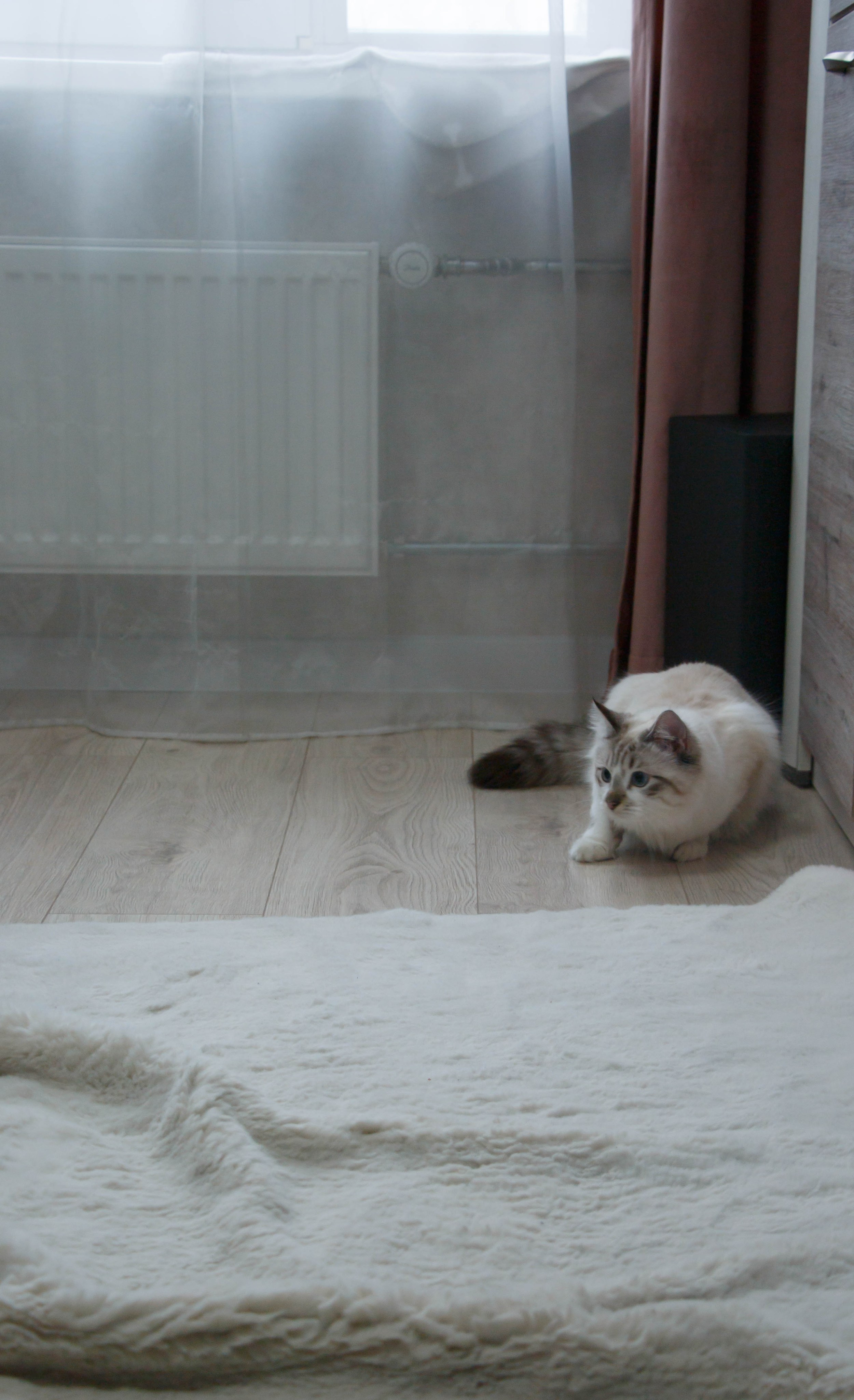 Kristina & Miya. Бережно сохраняю ваши чувства и истории на своих фотографиях