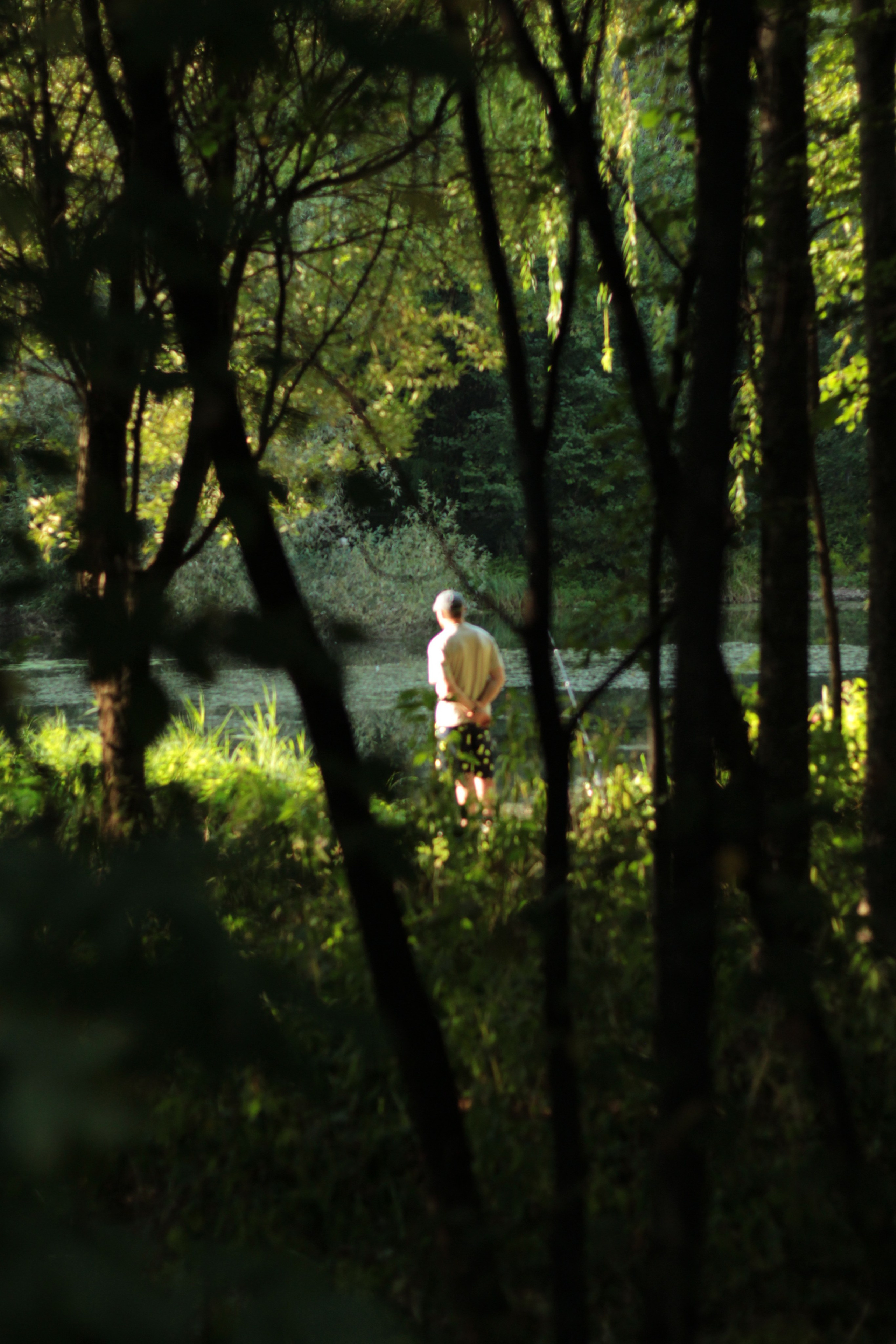 Автор: Анастасия Быченкова