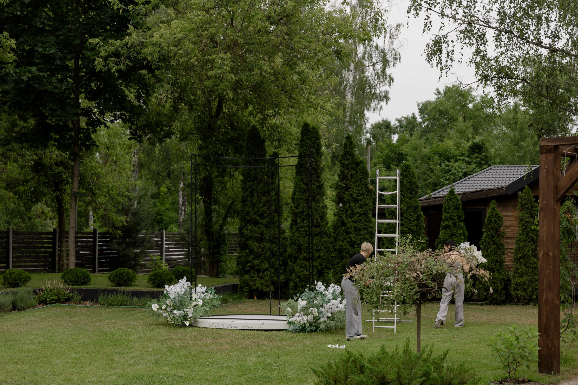 Свадьба пес и котики. Dima Lemeshevsky