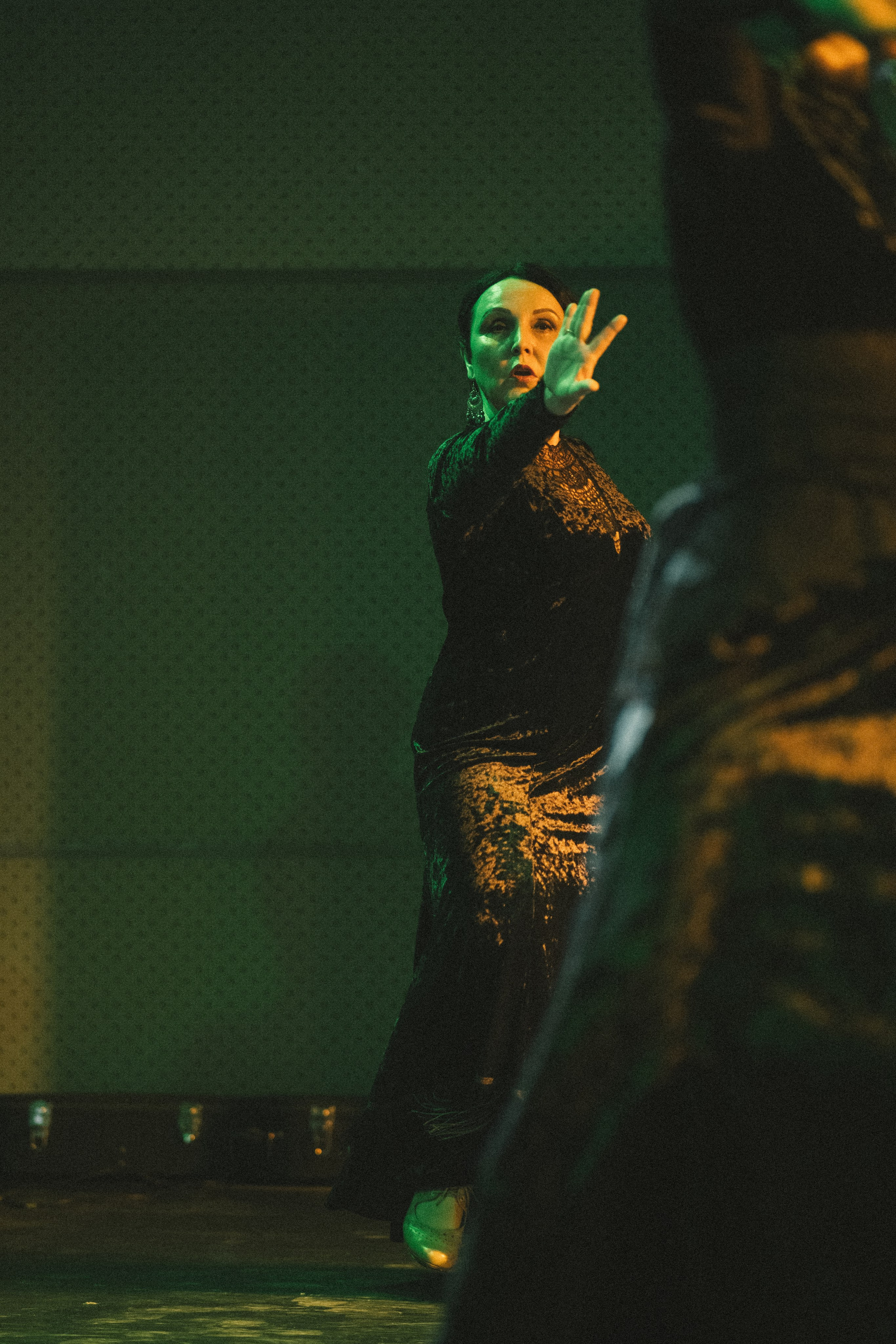 Спектакль «Mujeres» («Женщины»), студия фламенко Tierra del Sol. Анна Демидова — фотография для жизни и бизнеса в Абакане