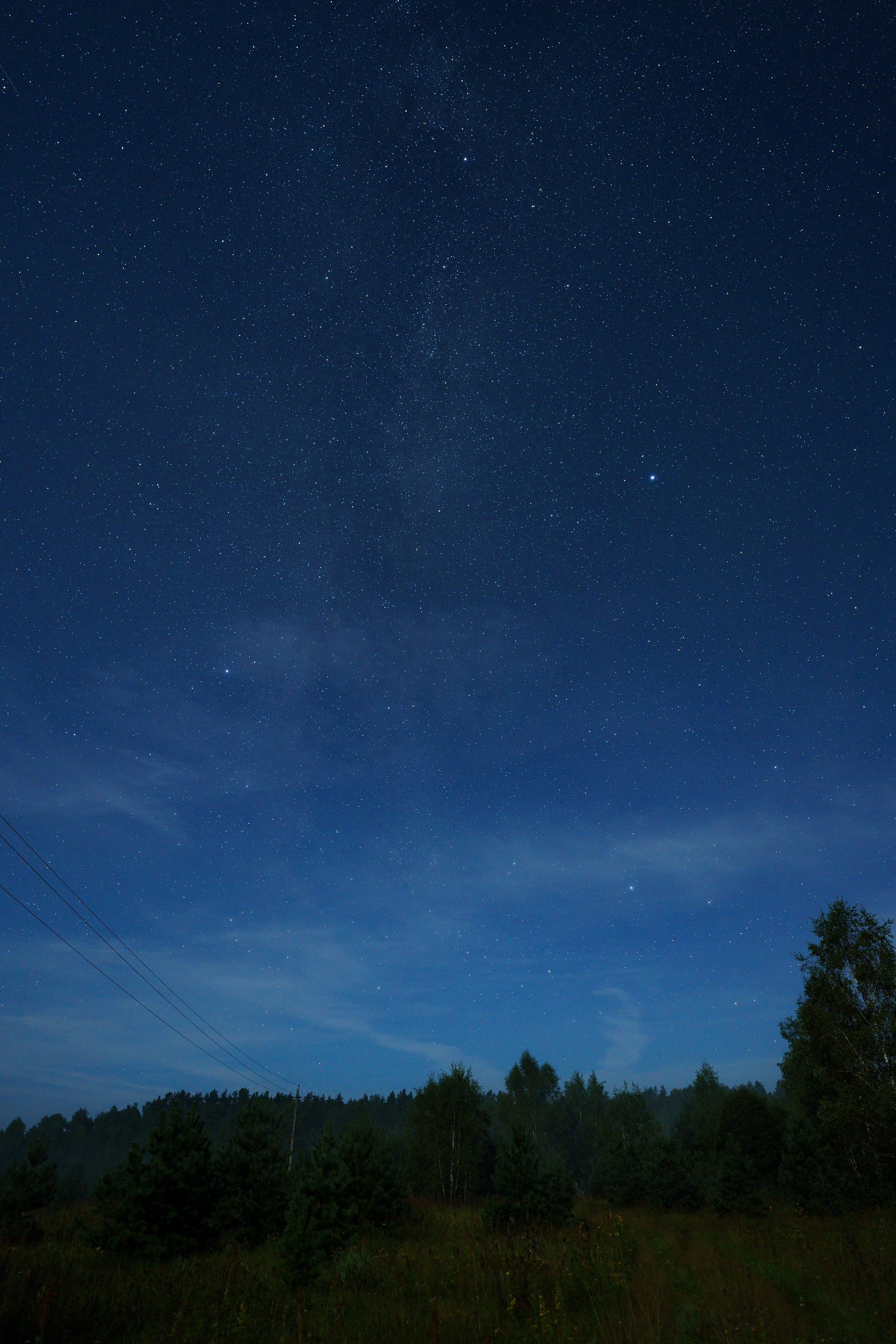 Фотографии Национальный парк Угра. Фотограф спортивные события, недвижимость, турбизнес