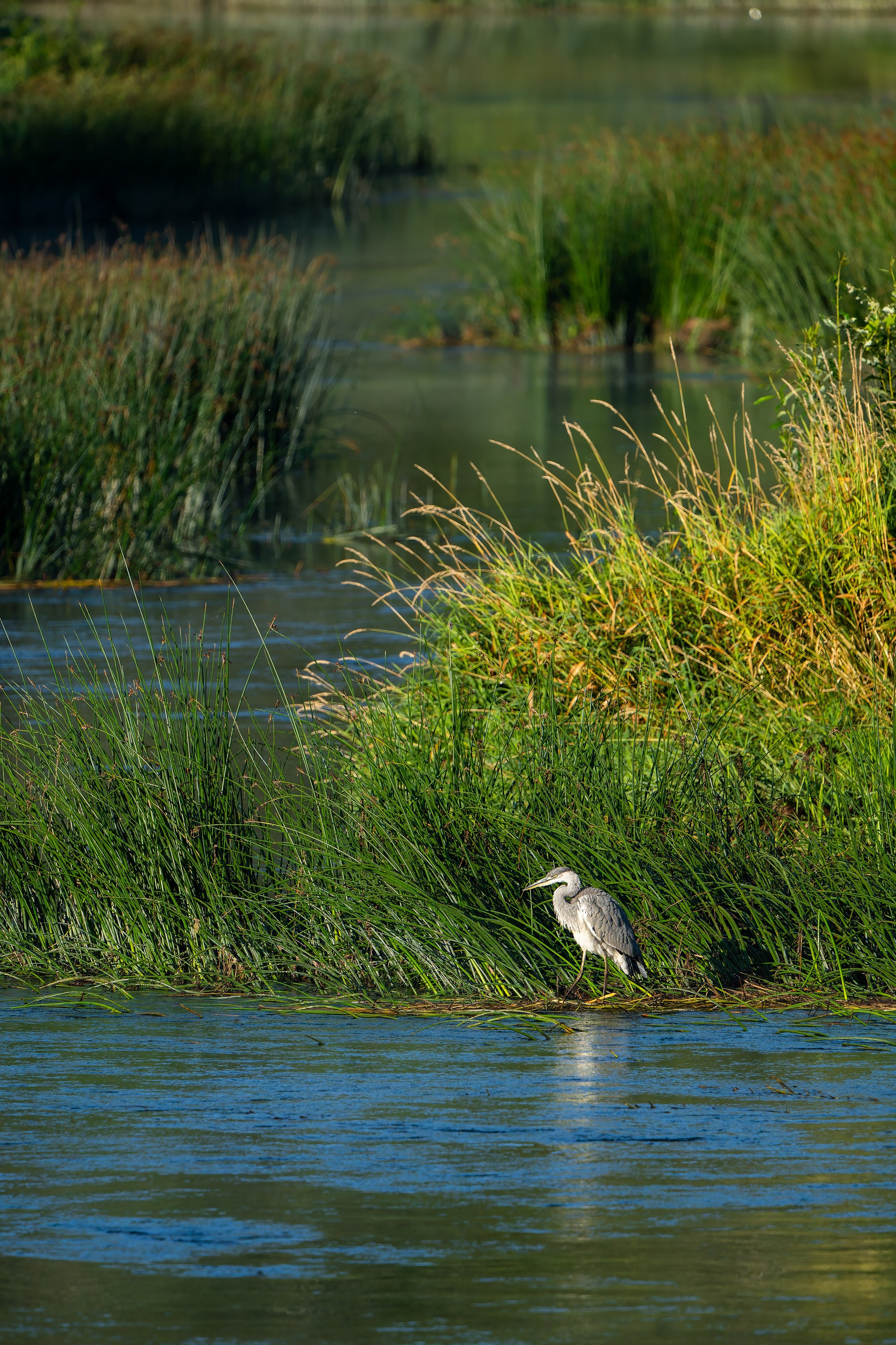 Фотографии Национальный парк Угра. Фотограф спортивные события, недвижимость, турбизнес