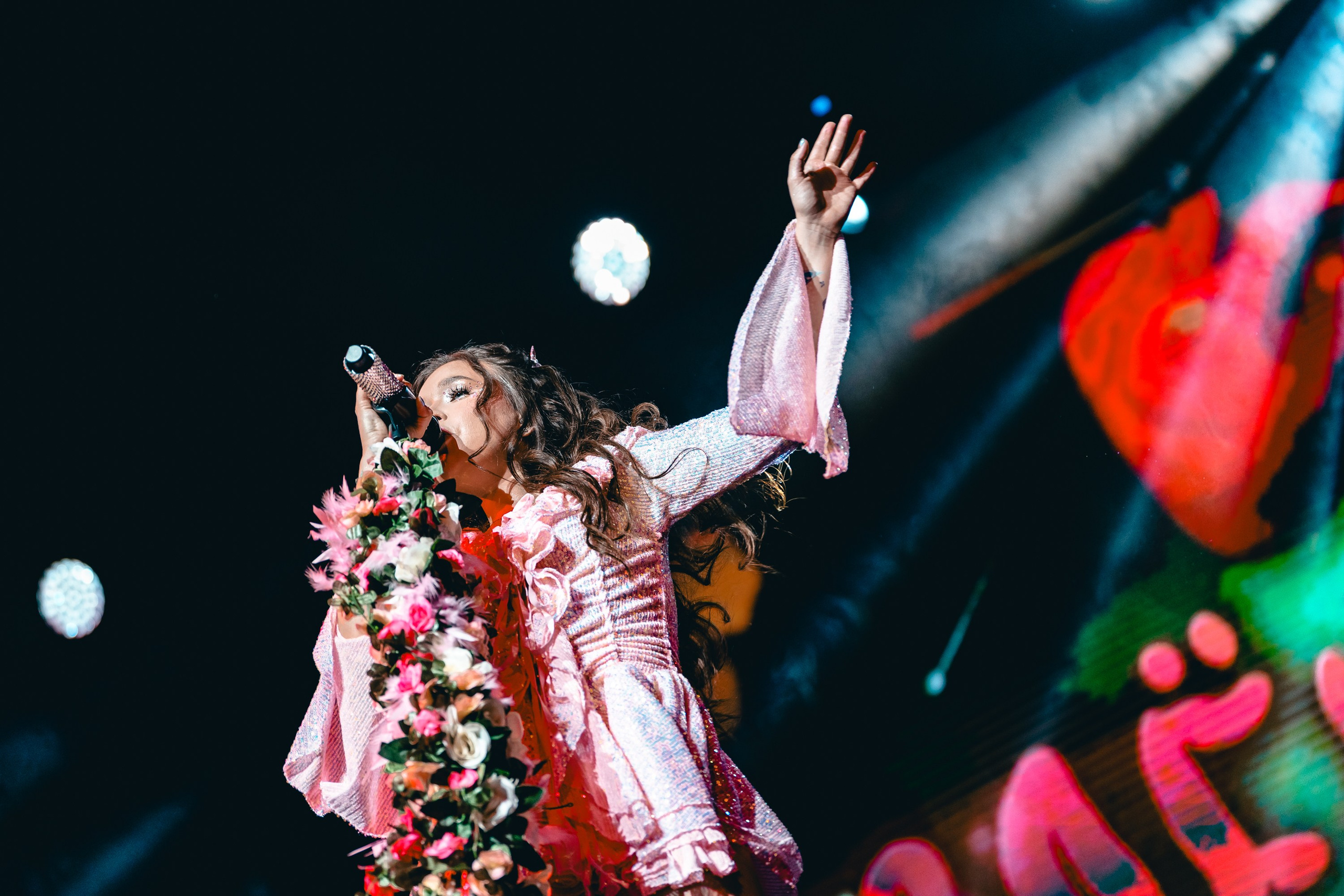 Алена Швец. Магия музыки в кадре: Концертная Фотография