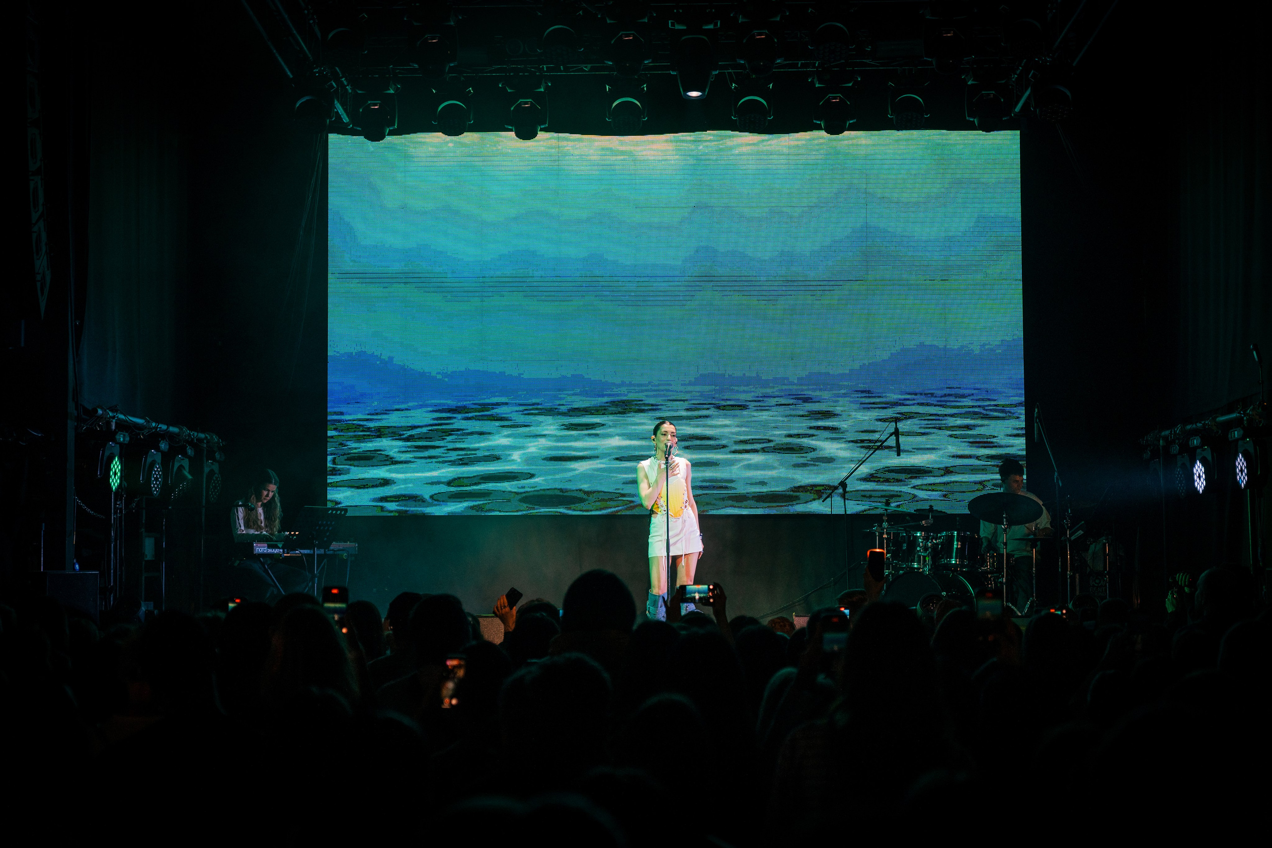 Gayana. Магия музыки в кадре: Концертная Фотография