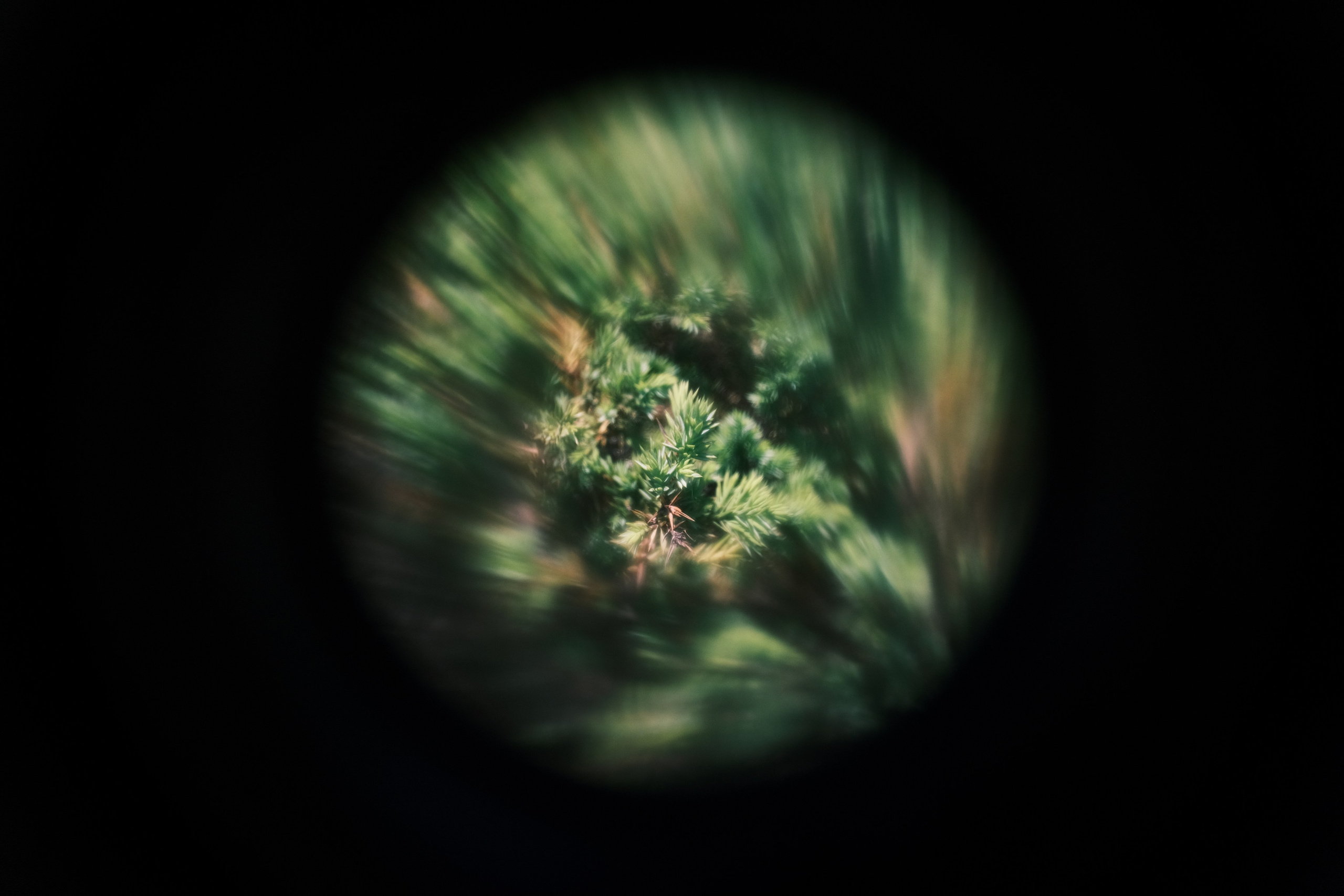 Фото Портфолио Рустам Нерустам