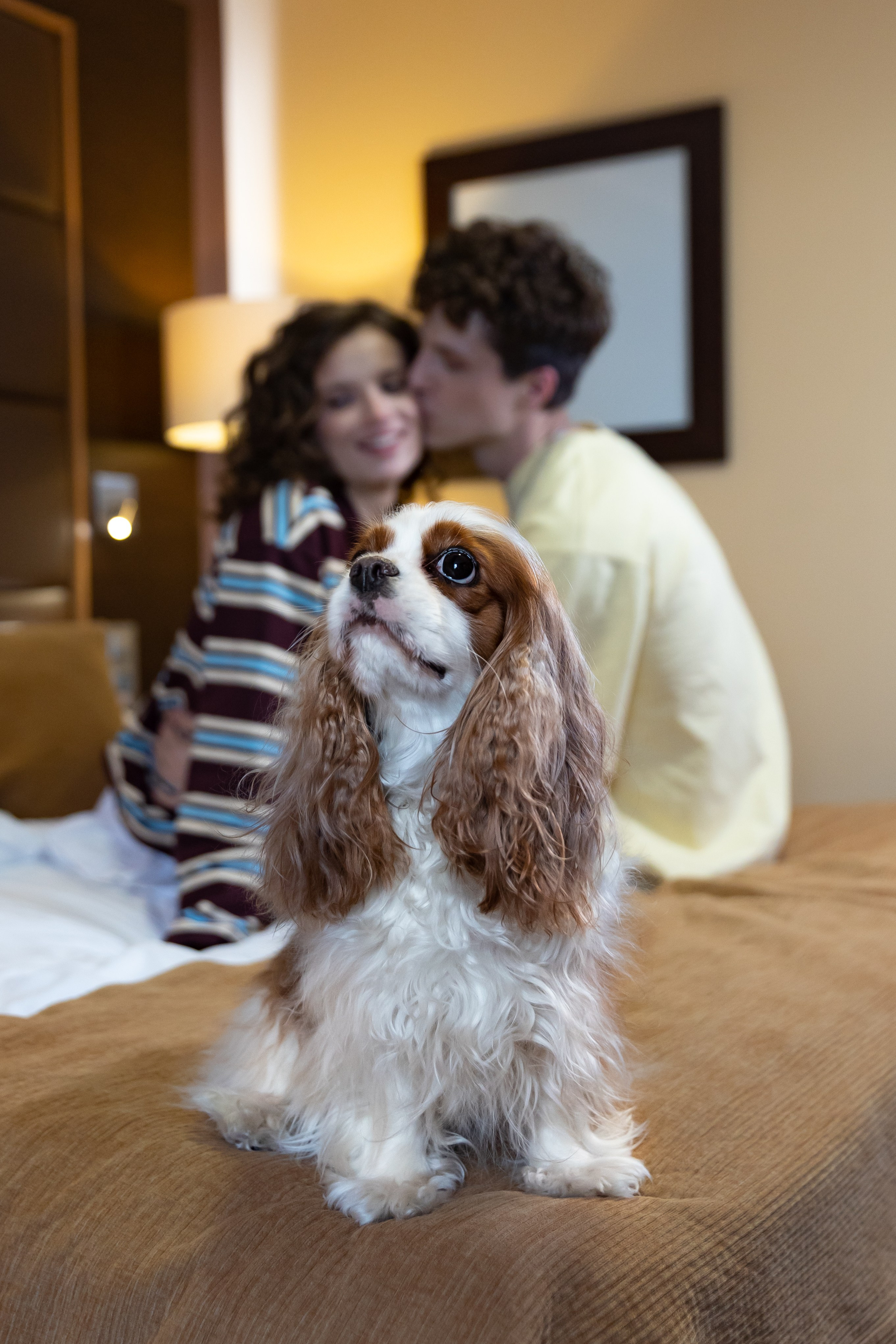 Love Story в отеле. Семейный и детский фотограф в Краснознаменске Виктория Санкина