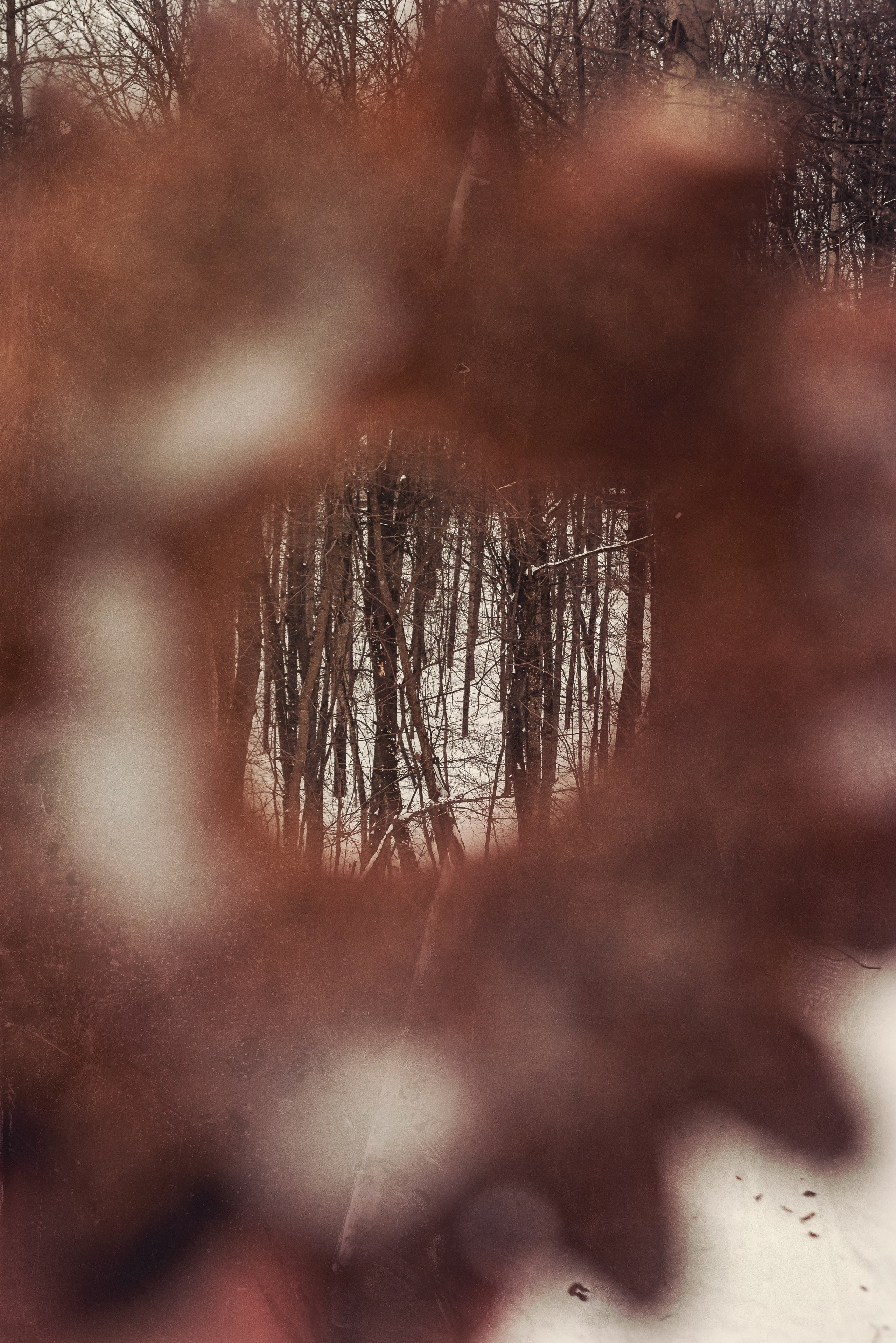 Варя и волк — по мотивам красной шапочки. Фотограф Крещение Венчание Москва