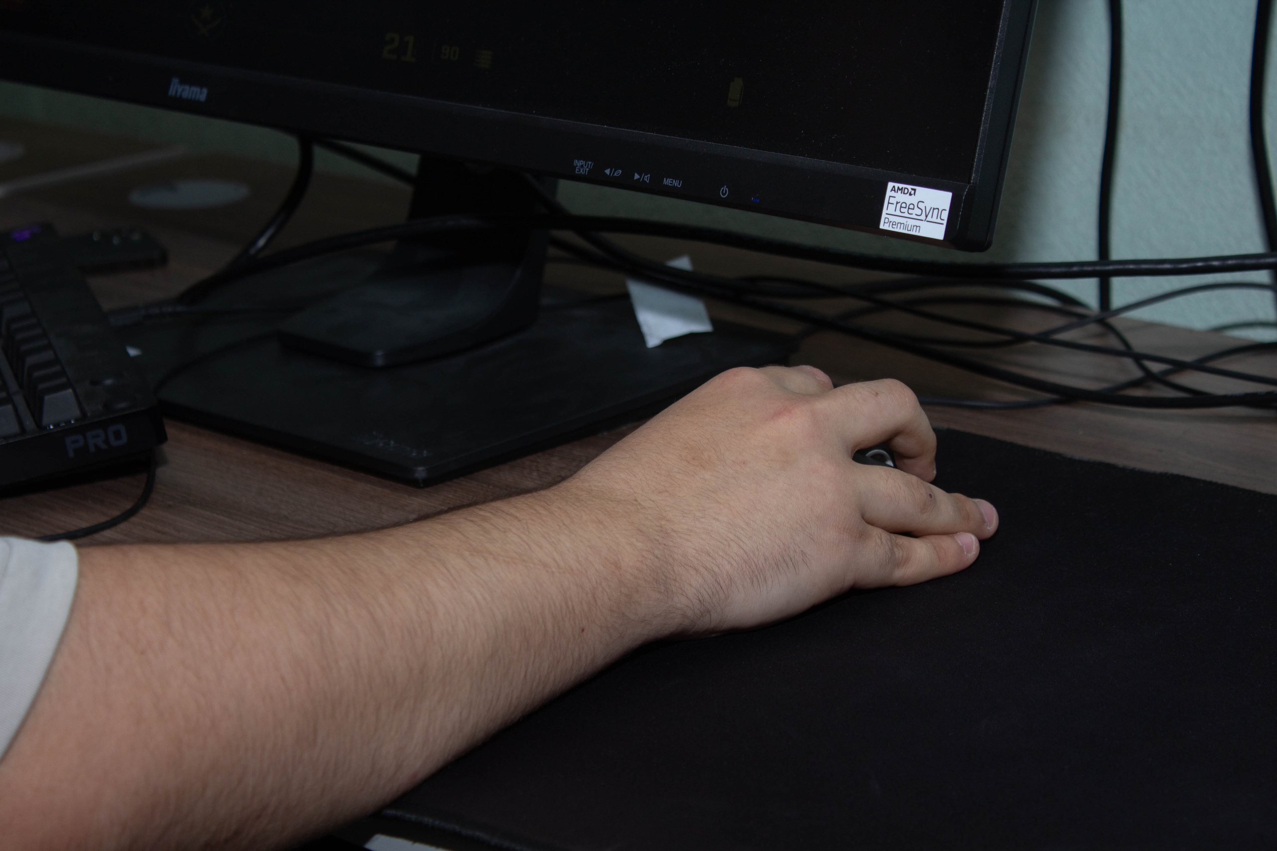 Polycup. Карпогоры, Санкт-Петербург