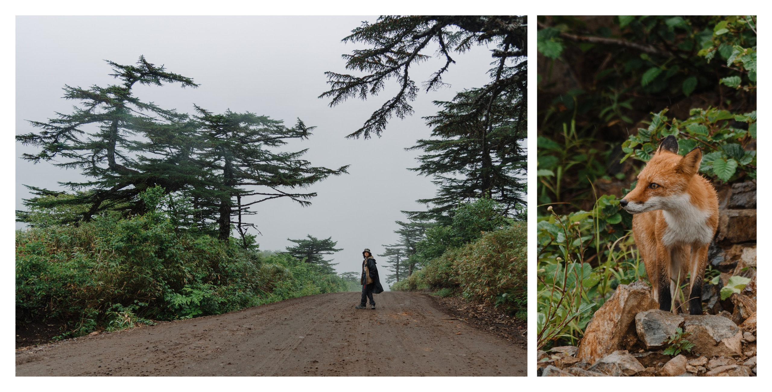 Сахалин и Курильские острова. Фотограф Алиса Калинина