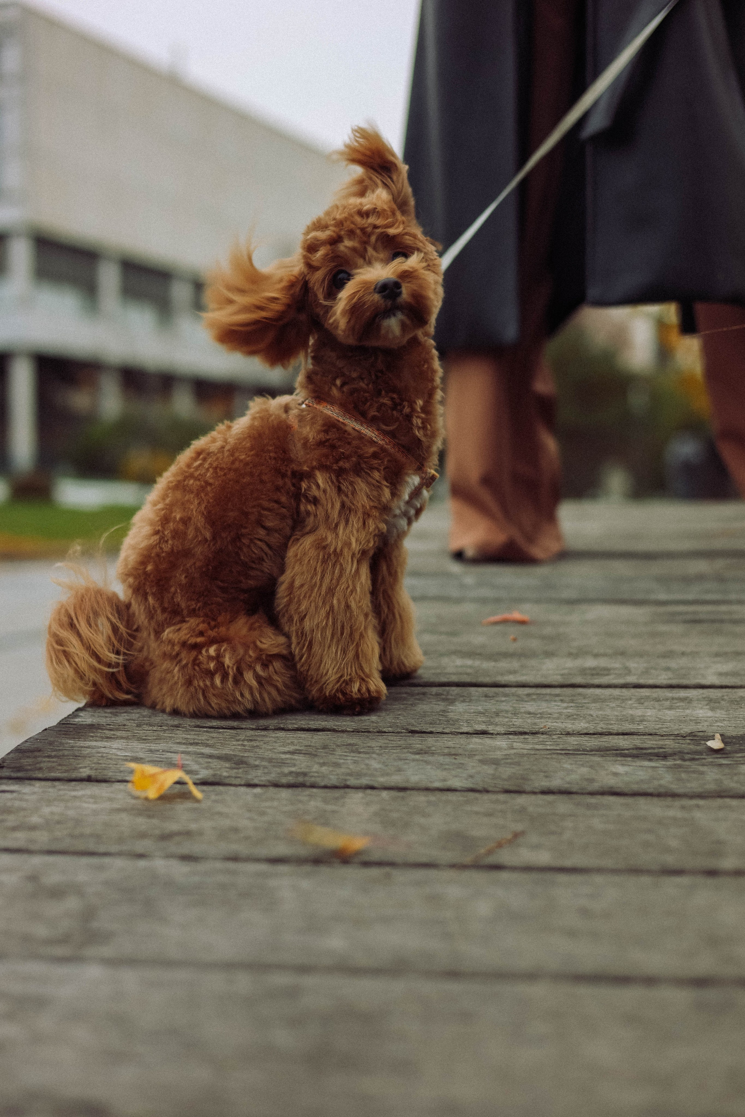 Кира. Фотограф в Москве Анастасия Калинина