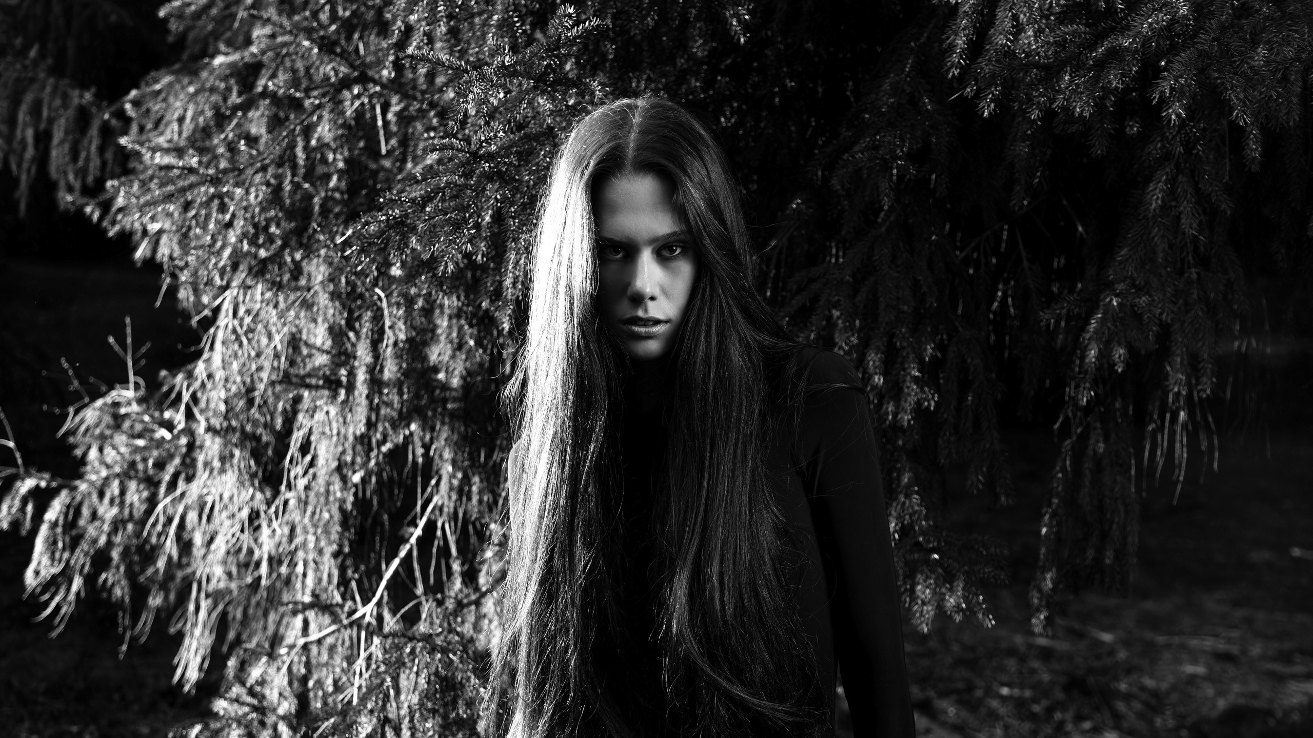 Victoria. Ilya Samonov