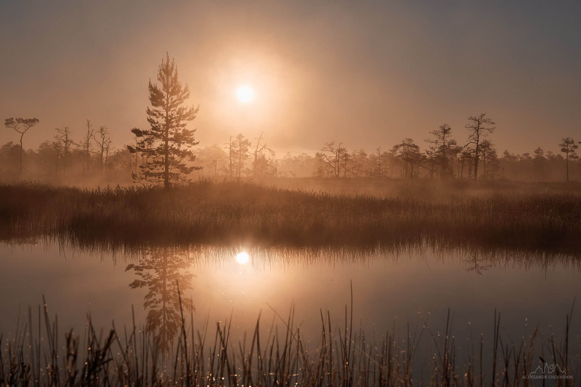 Рассвет на болоте. Пейзажный фотограф Александр Чехонин