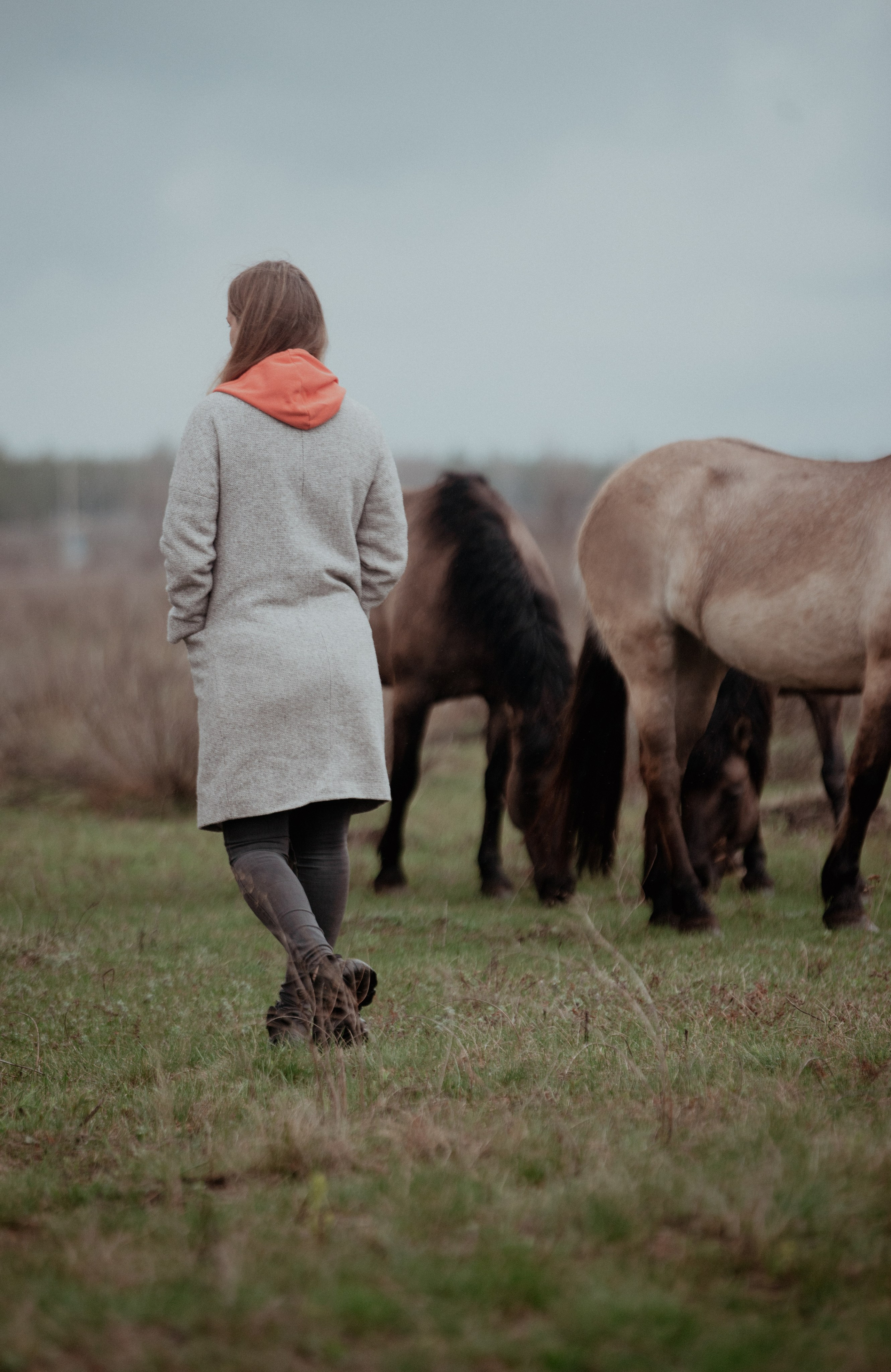 Прикосновение. Конный фотограф в Саратове Юлия Иванова